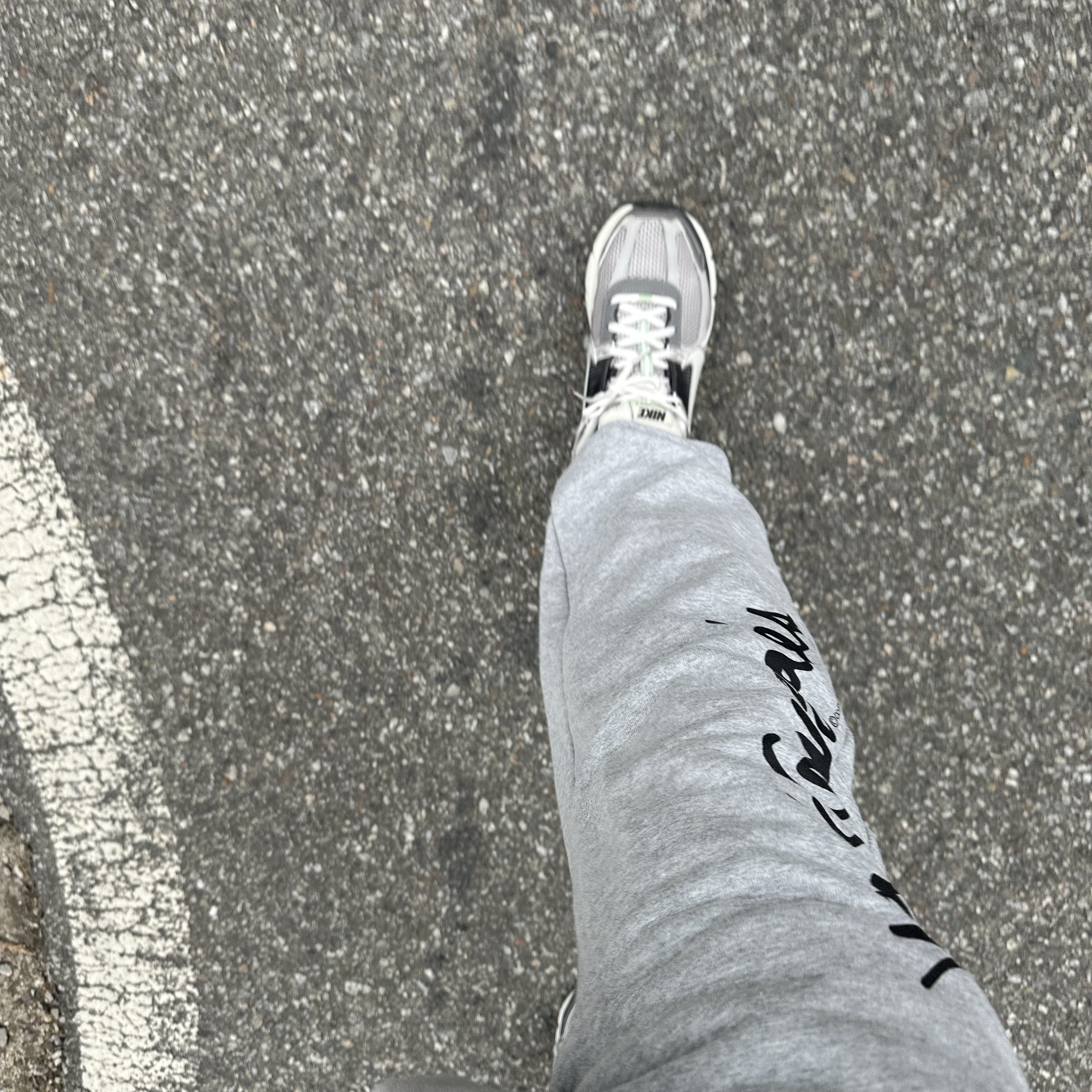 (W) Nike Zoom Vomero 5 Cobblestone and Flat Pewter 착용 스타일