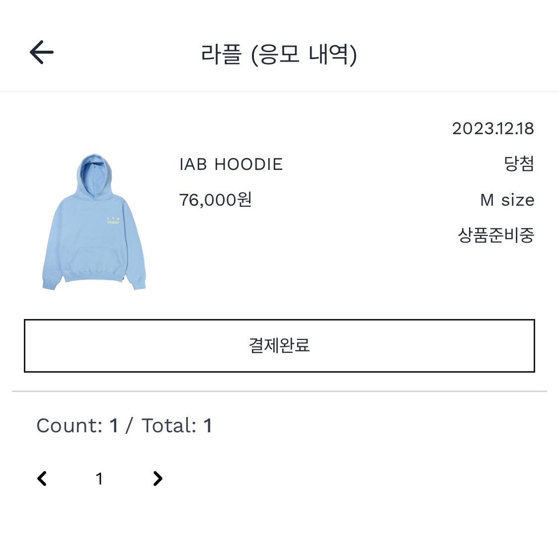 IAB Studio Hoodie Sky Blue Lemon 착용 스타일 - 2
