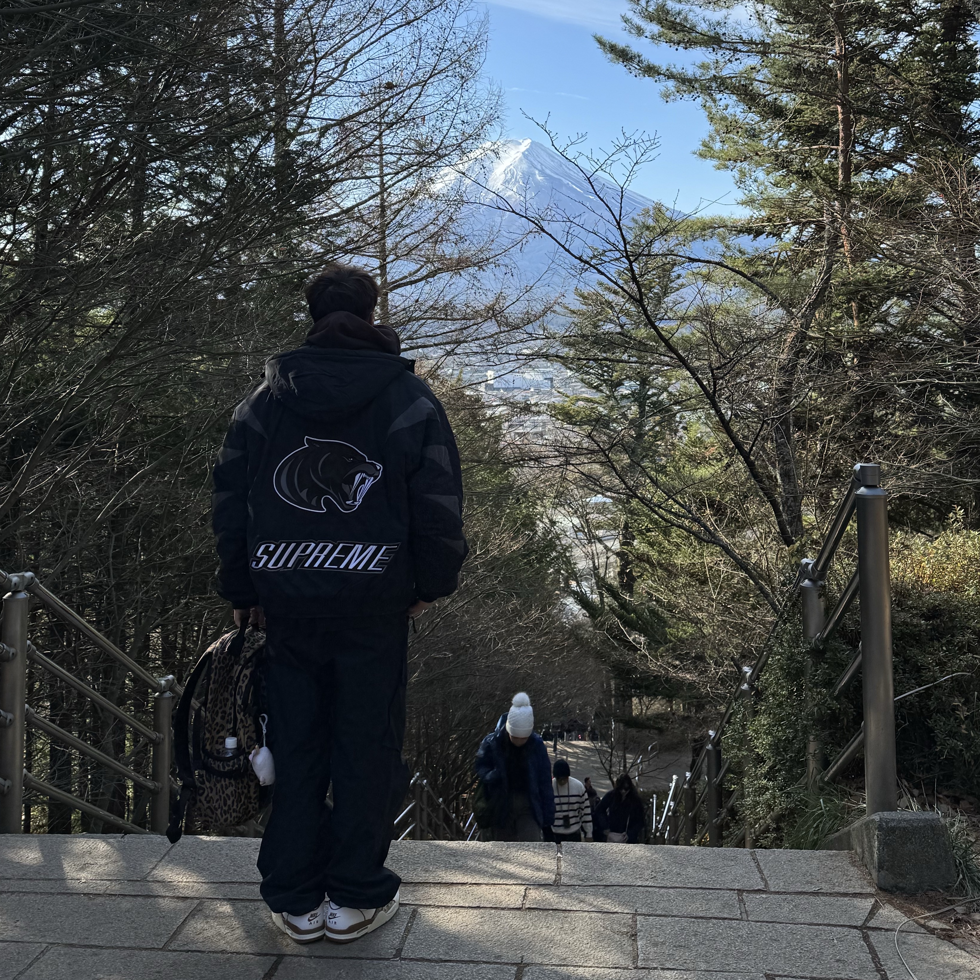 Supreme Wildcat Sideline Puffer Jacket Black - 23FW, Nike x Stussy Air Flight 89 Low White and Pecan 착용 스타일