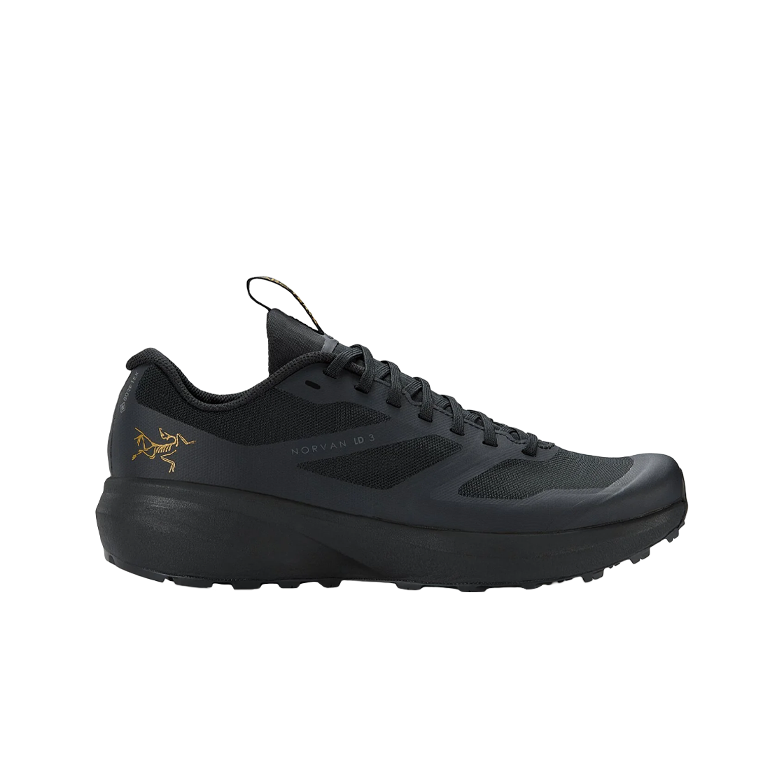 아크테릭스 노반 LD 3 고어텍스 블랙(Arc'teryx Norvan LD 3 Gore-Tex Black)