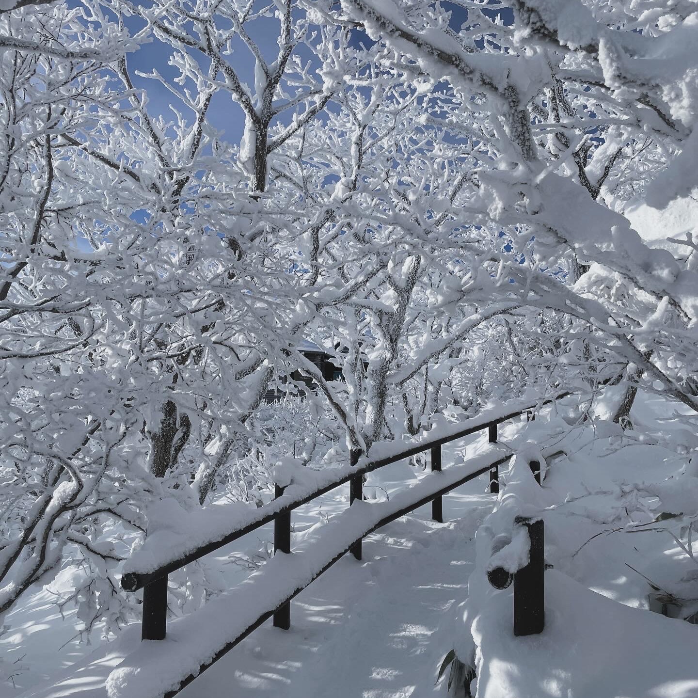 Arc'teryx Beta Jacket Black, Sansan Gear Side Snap Pants V2 Black - 23FW 착용 스타일 - 3