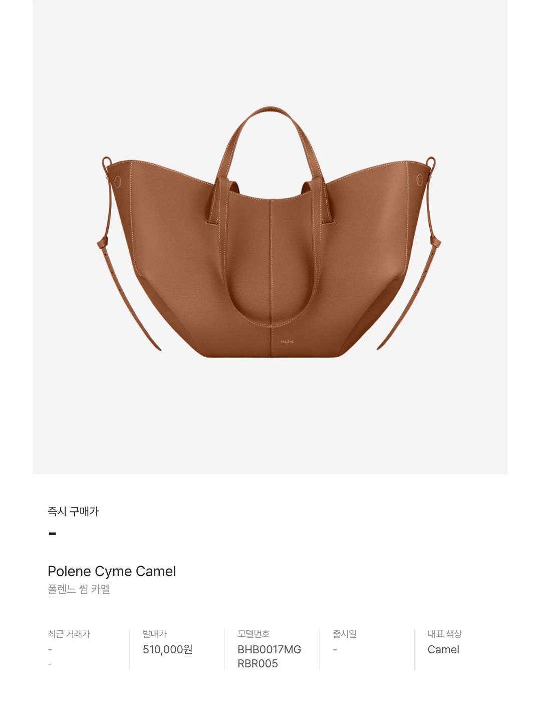 The Row Small N/S Park Tote in Nubuck Tundra, The Row Small N/S Park Tote in Grained Calfskin Leather Dark Taupe 착용 스타일 - 6