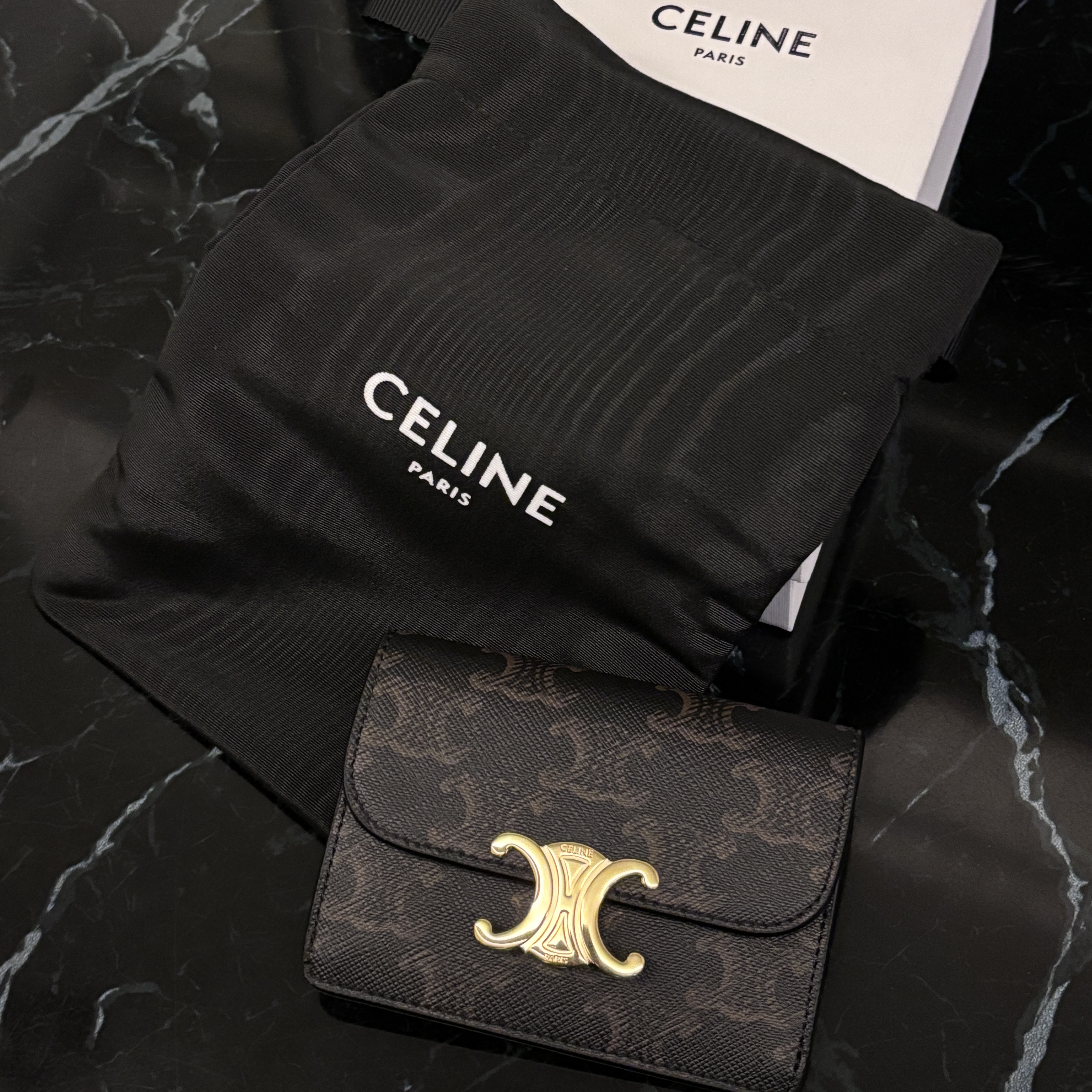 Celine Card Holder with Flap in Triomphe Canvas Tan 착용 스타일 - 2