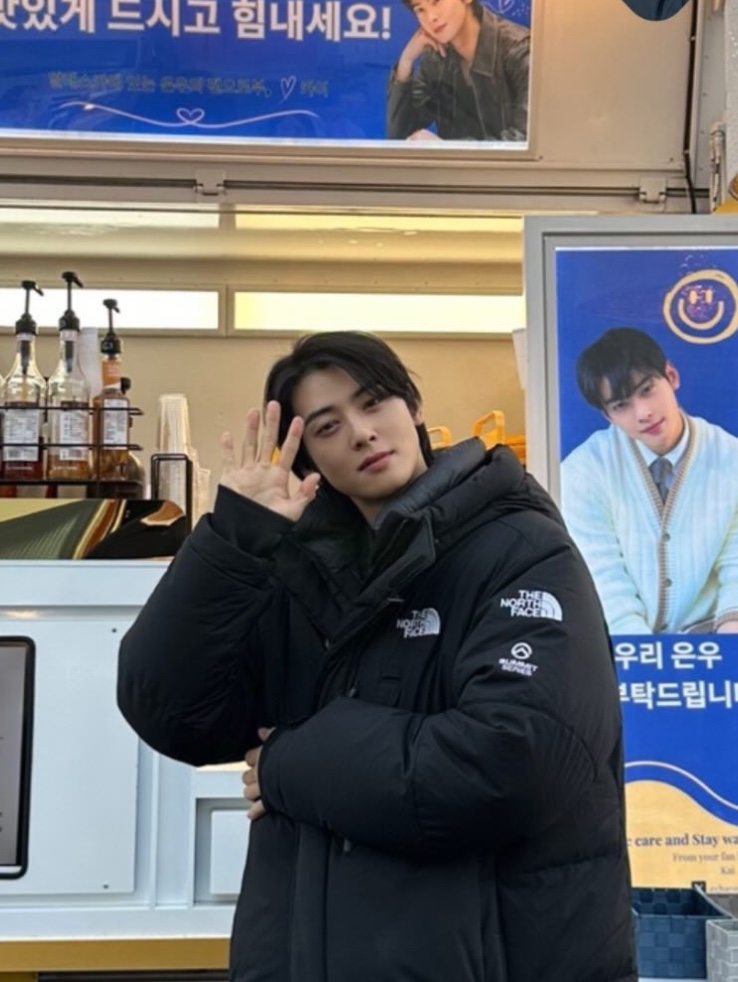 The North Face White Label Go Free Down Coat Black 착용 스타일