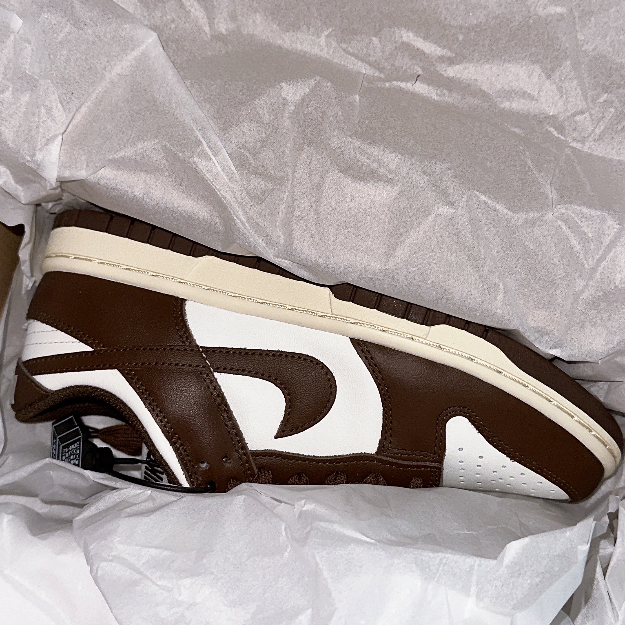 (W) Nike Dunk Low Sail Cacao Wow 착용 스타일 - 1