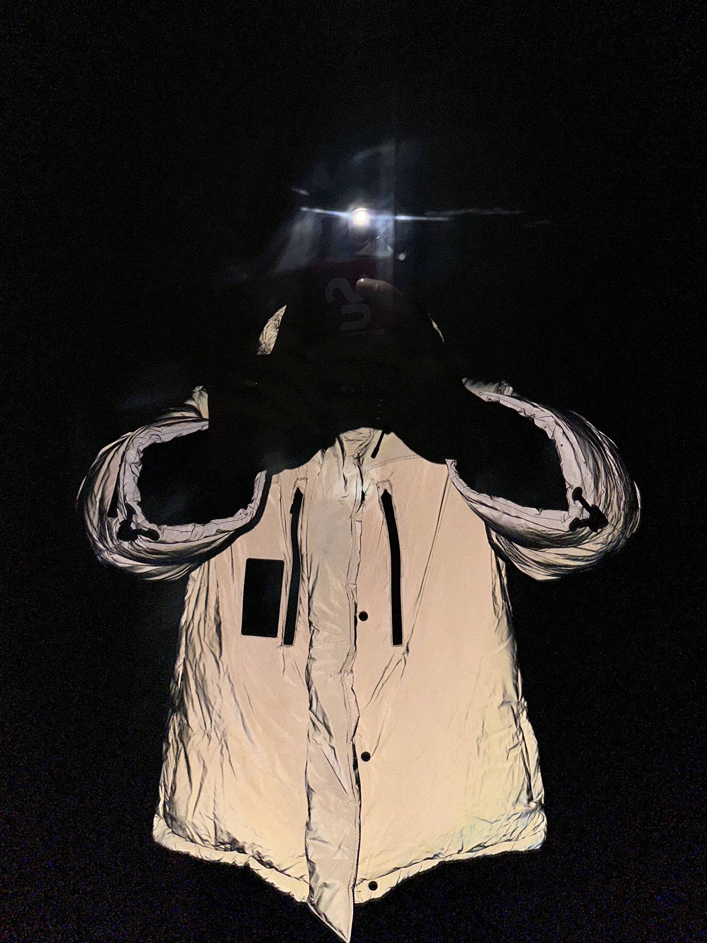 Louis Vuitton Quilted Patch Ski Blouson Grey, (W) Dior CD Navy Ring Gold Finish Metal 착용 스타일 - 1