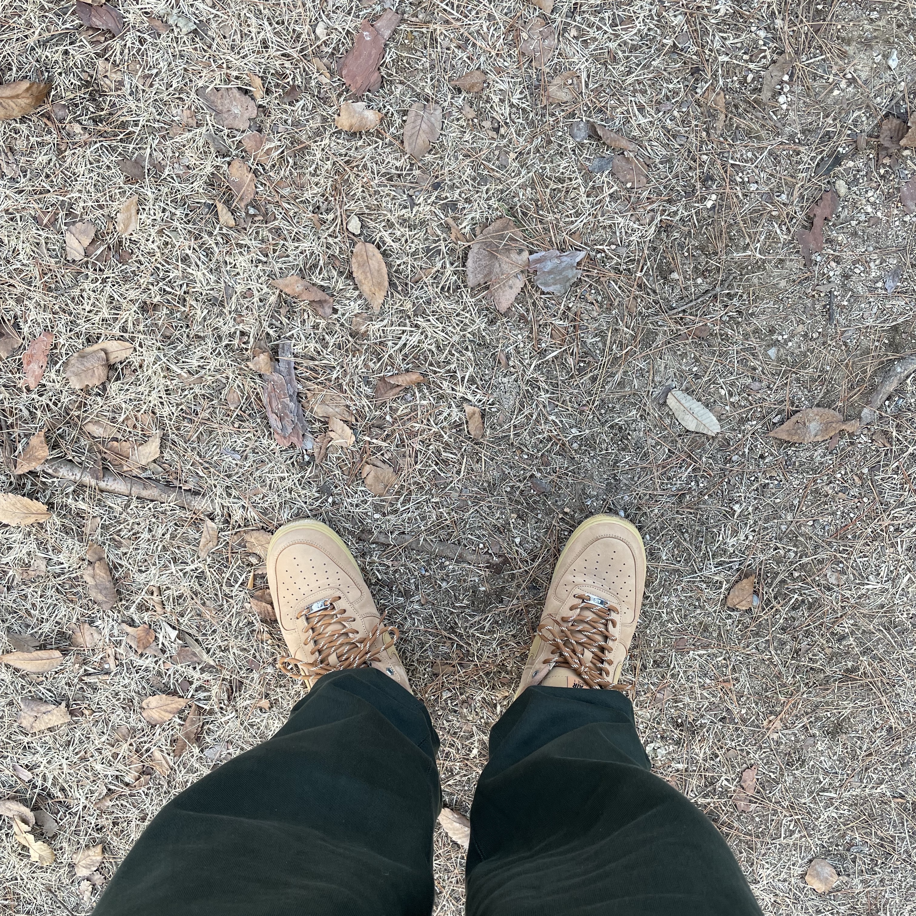 Nike Air Force 1 '07 WB Flax 착용 스타일