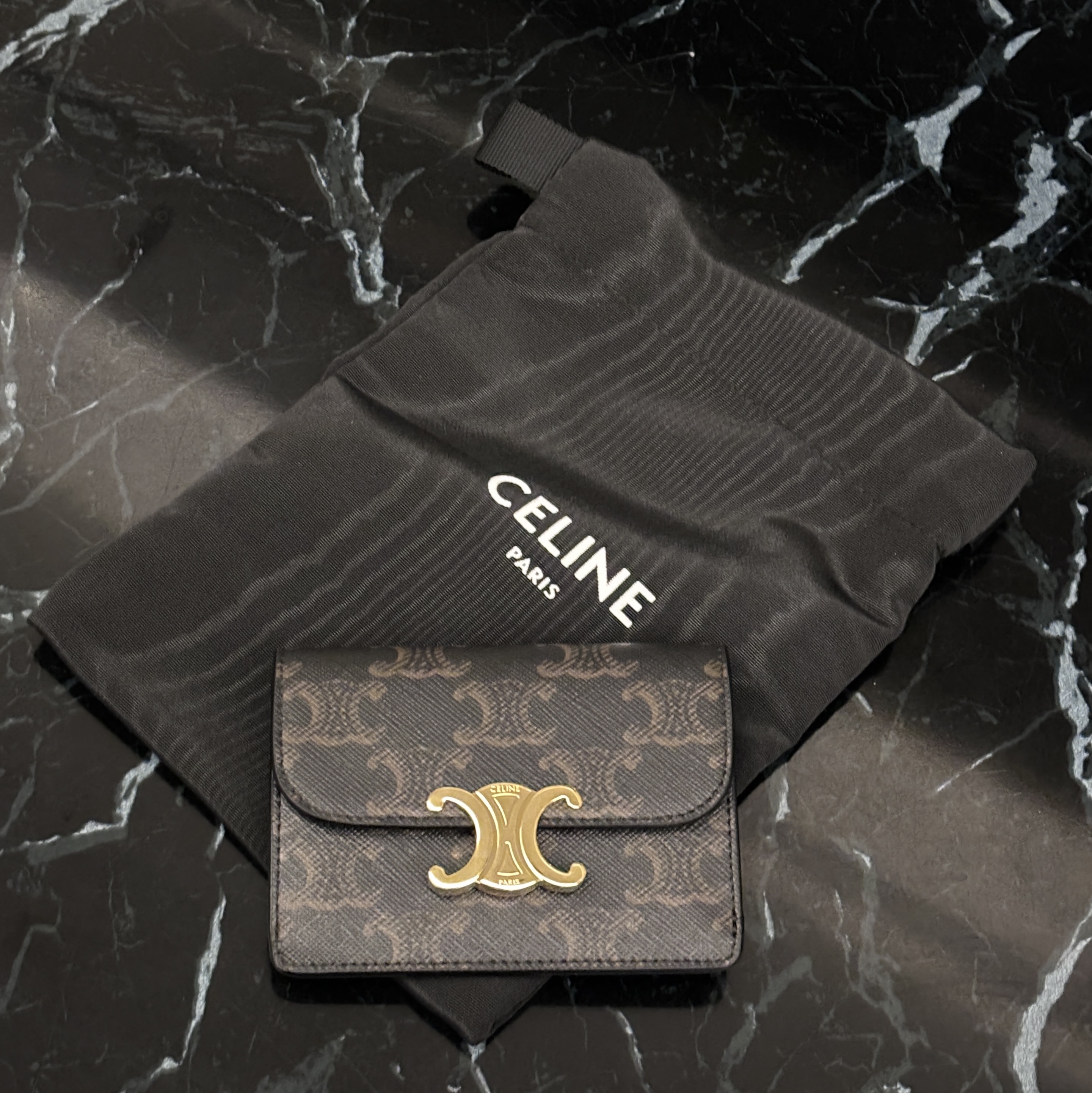 Celine Card Holder with Flap in Triomphe Canvas Tan 착용 스타일 - 1