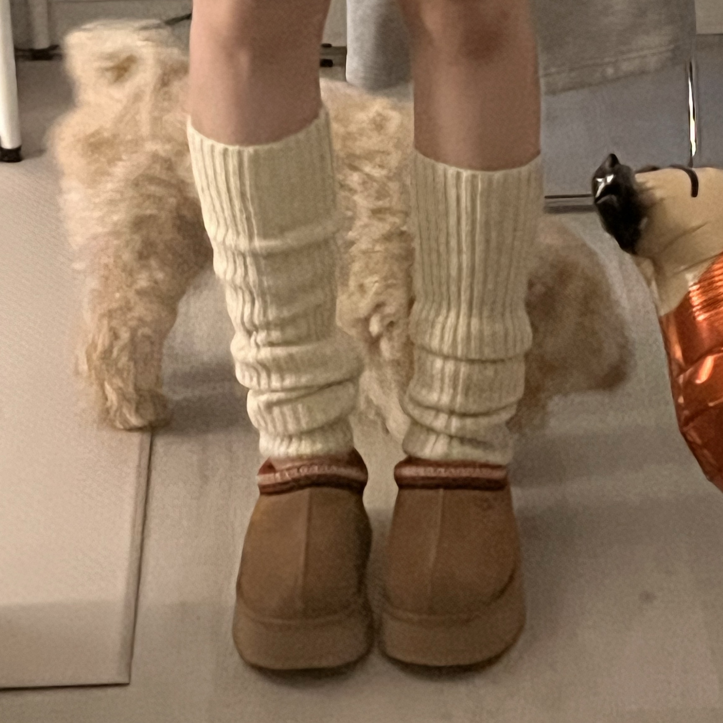 (W) UGG Tazz Slipper Chestnut 착용 스타일