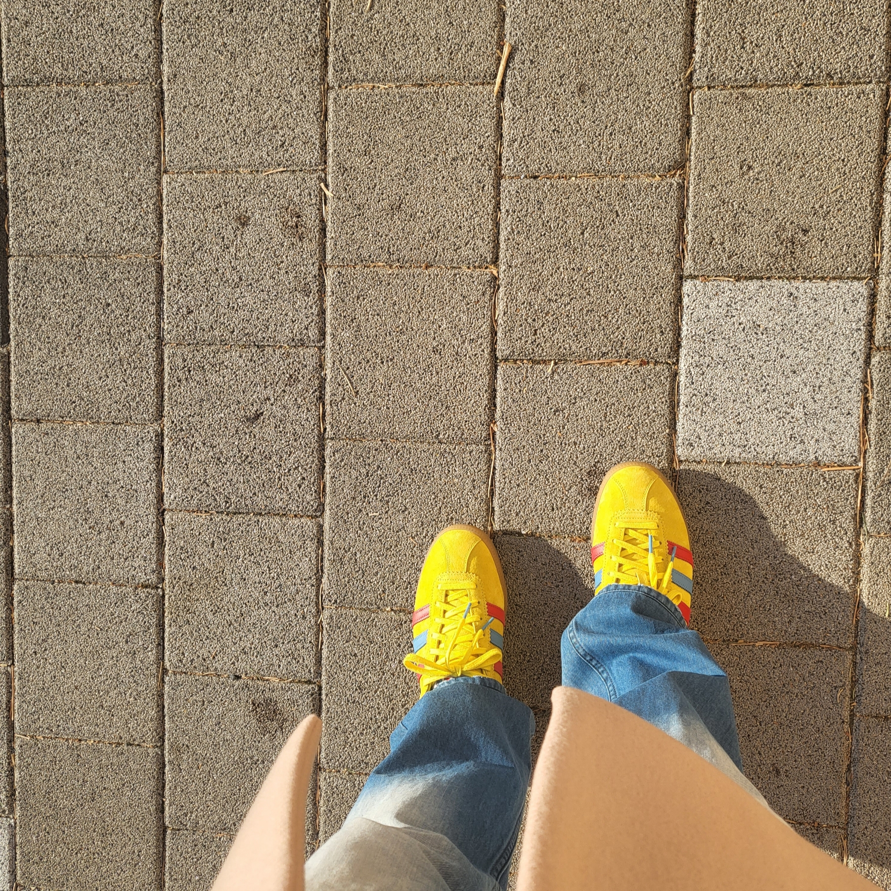 Adidas x END. Bermuda Team Yellow 착용 스타일 - 1