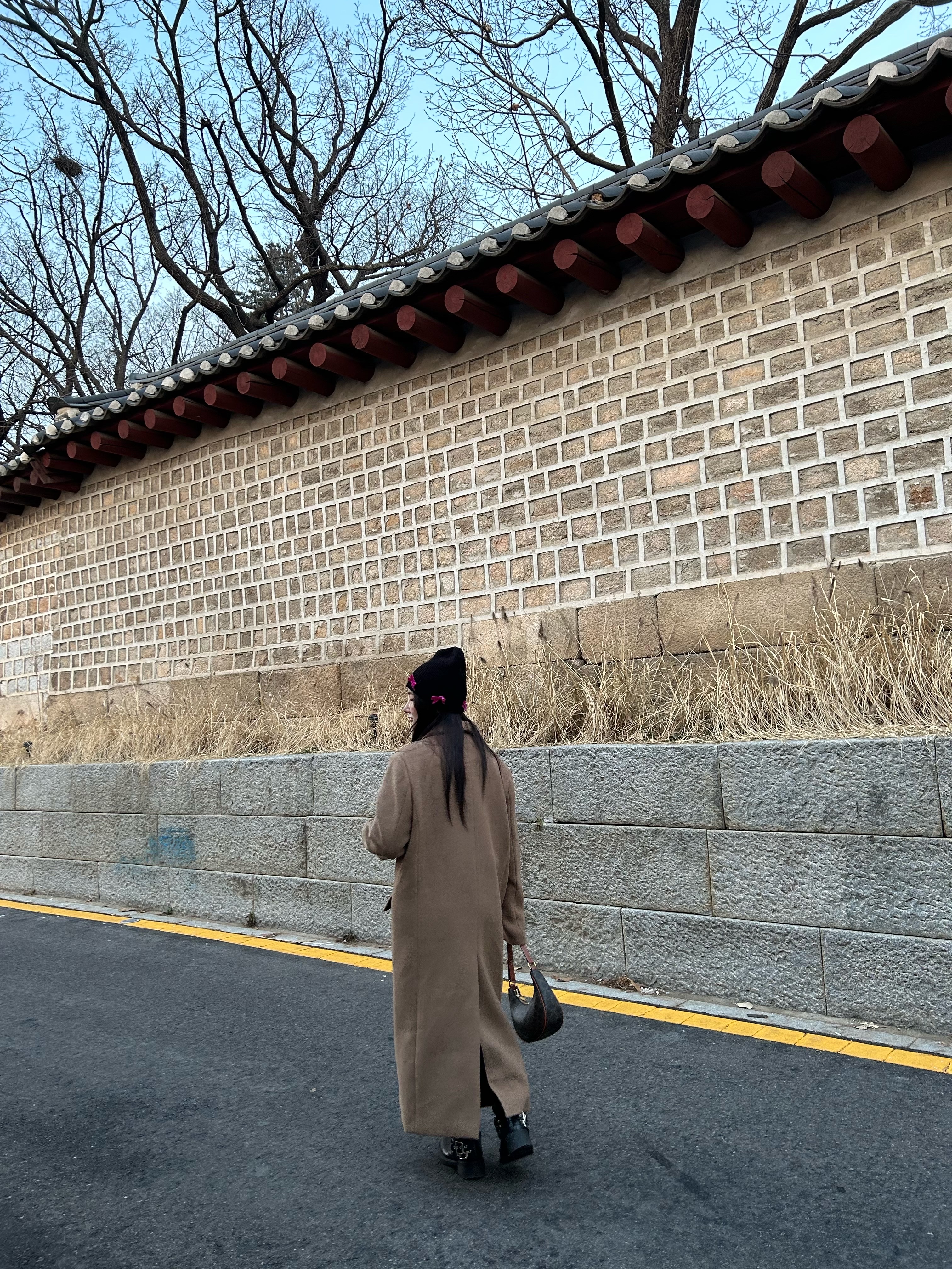 Celine Ava Bag in Triomphe Canvas and Calfskin Tan 착용 스타일 - 3