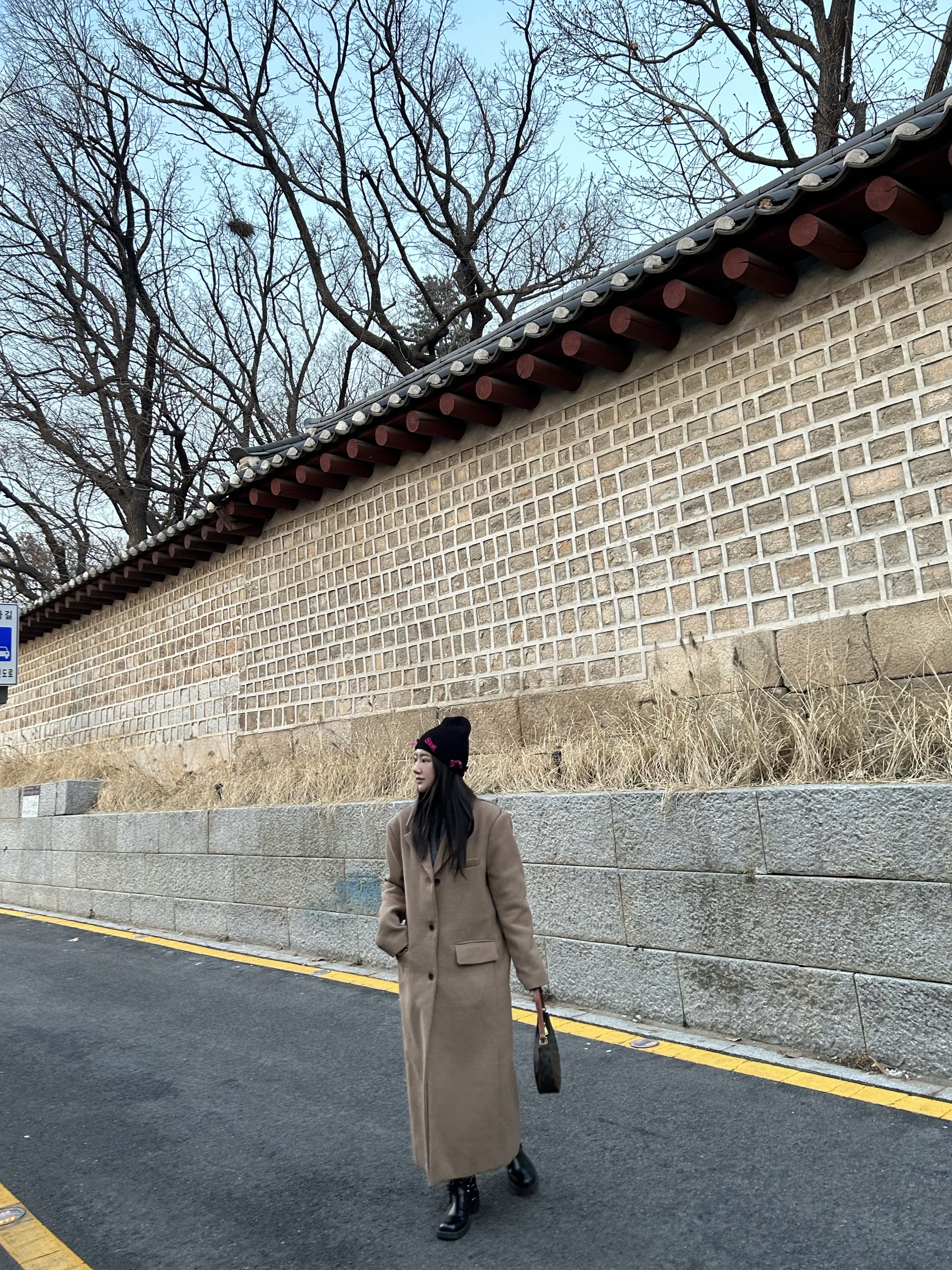 Celine Ava Bag in Triomphe Canvas and Calfskin Tan 착용 스타일 - 4
