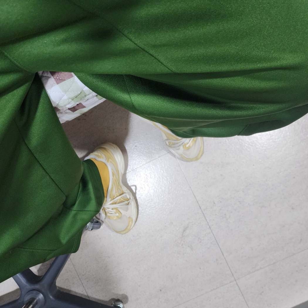 Needles H.D. Track Pants Poly Smooth Ivy Green 착용 스타일 - 3
