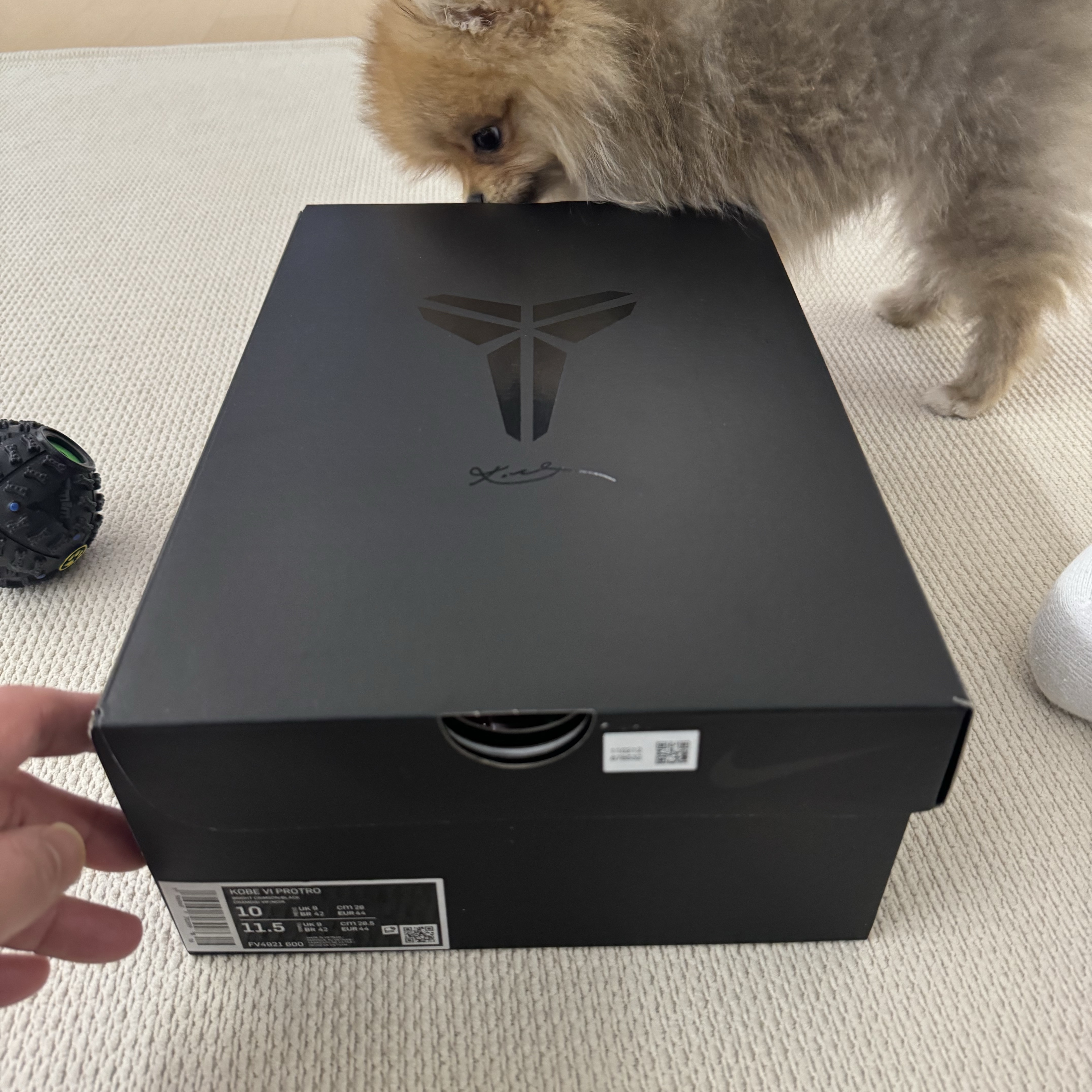 Nike Kobe 6 Protro Reverse 착용 스타일 - 1