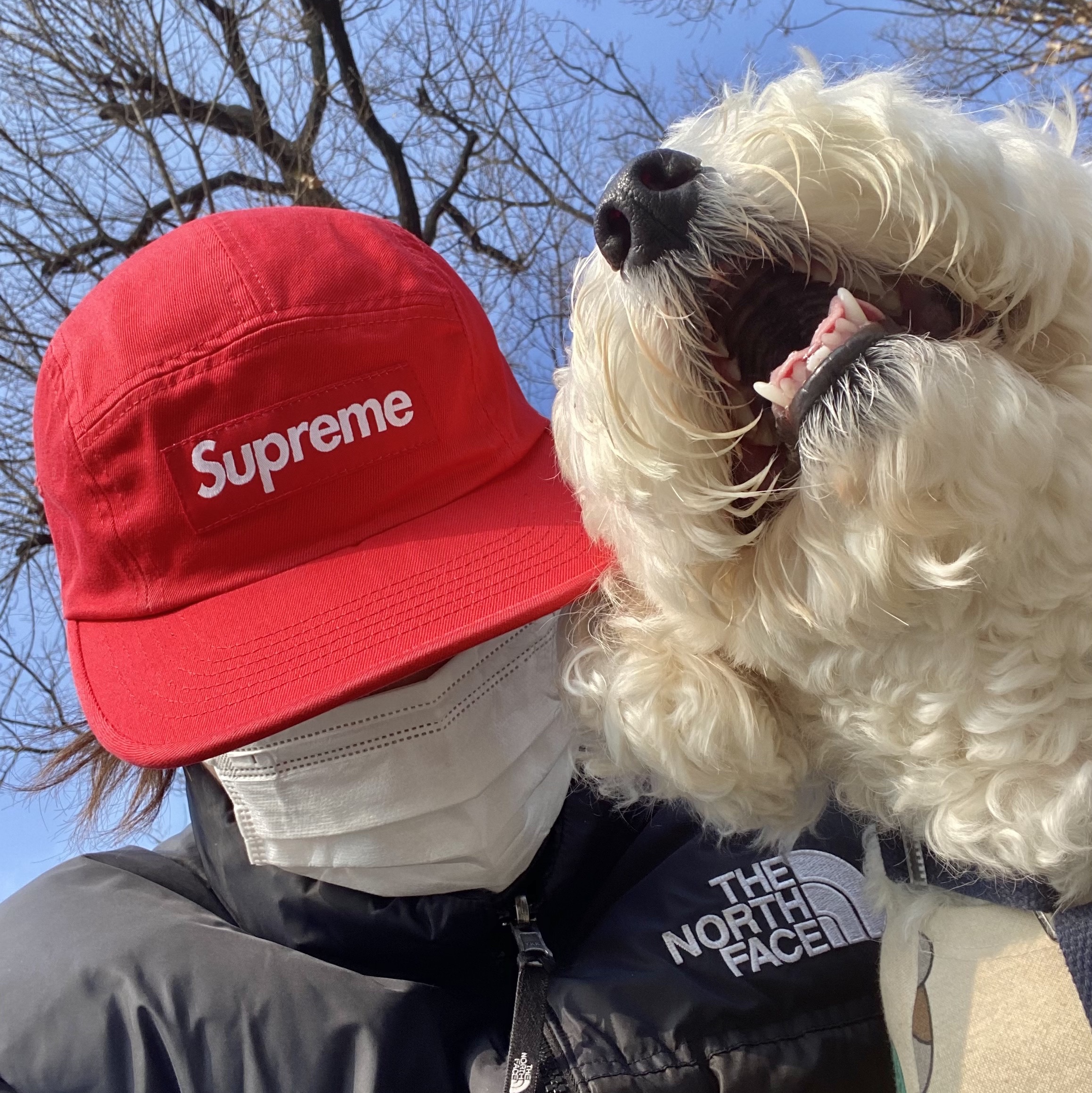 Supreme Washed Chino Twill Camp Cap Red 착용 스타일