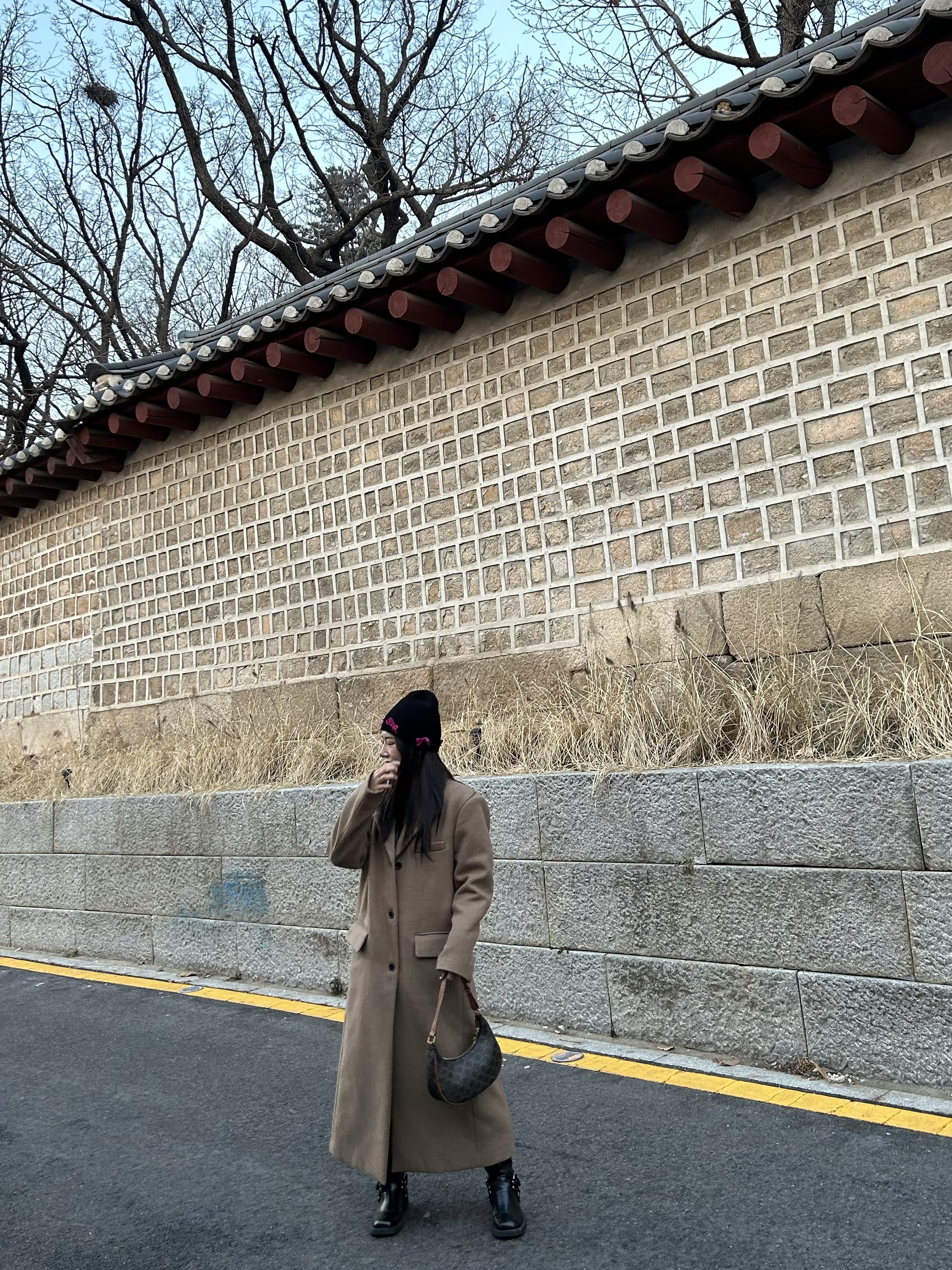 Celine Ava Bag in Triomphe Canvas and Calfskin Tan 착용 스타일 - 2