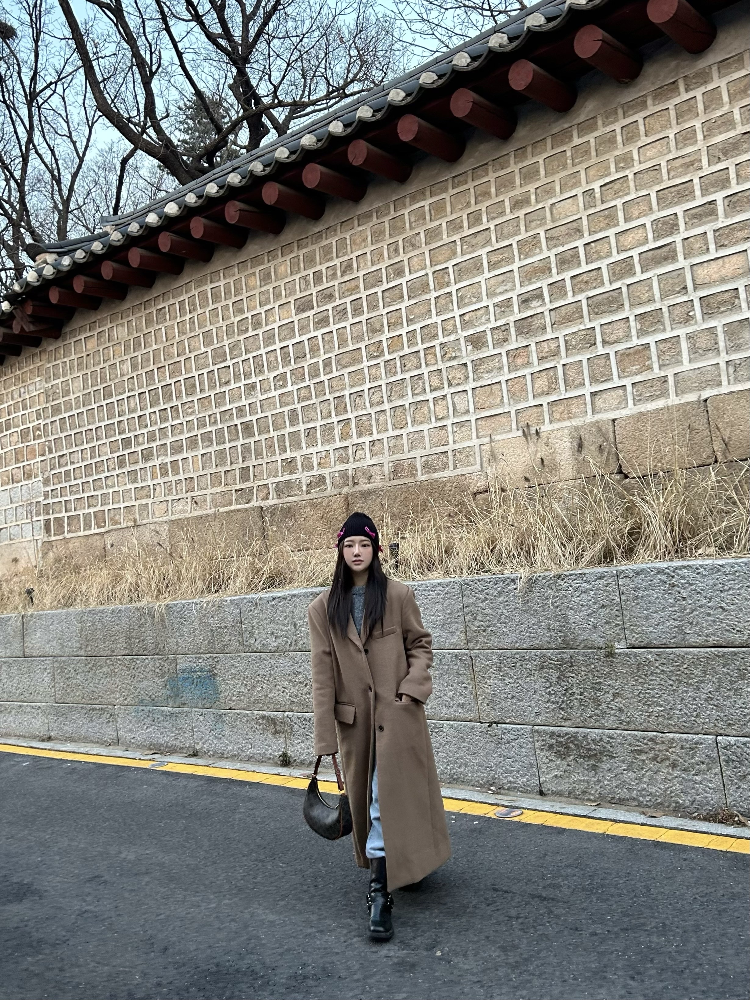 Celine Ava Bag in Triomphe Canvas and Calfskin Tan 착용 스타일 - 1