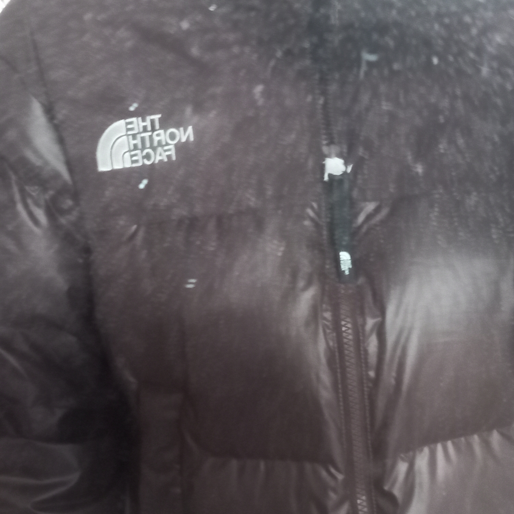 (W) The North Face White Label Novelty Nuptse Down Jacket Cocoa Brown 착용 스타일 - 2