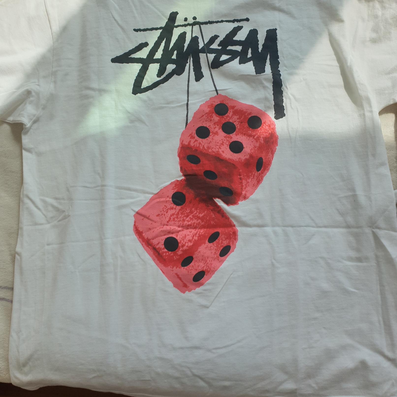 Stussy Fuzzy Dice T-Shirt White 착용 스타일