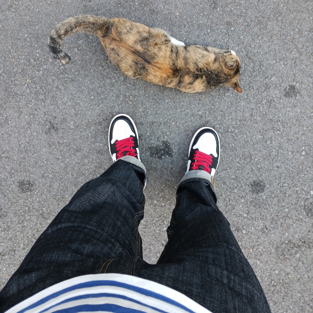 Jordan 1 Retro Low OG Black Toe, Play Comme des Garcons Striped LS T-Shirt Navy White 착용 스타일 - 1