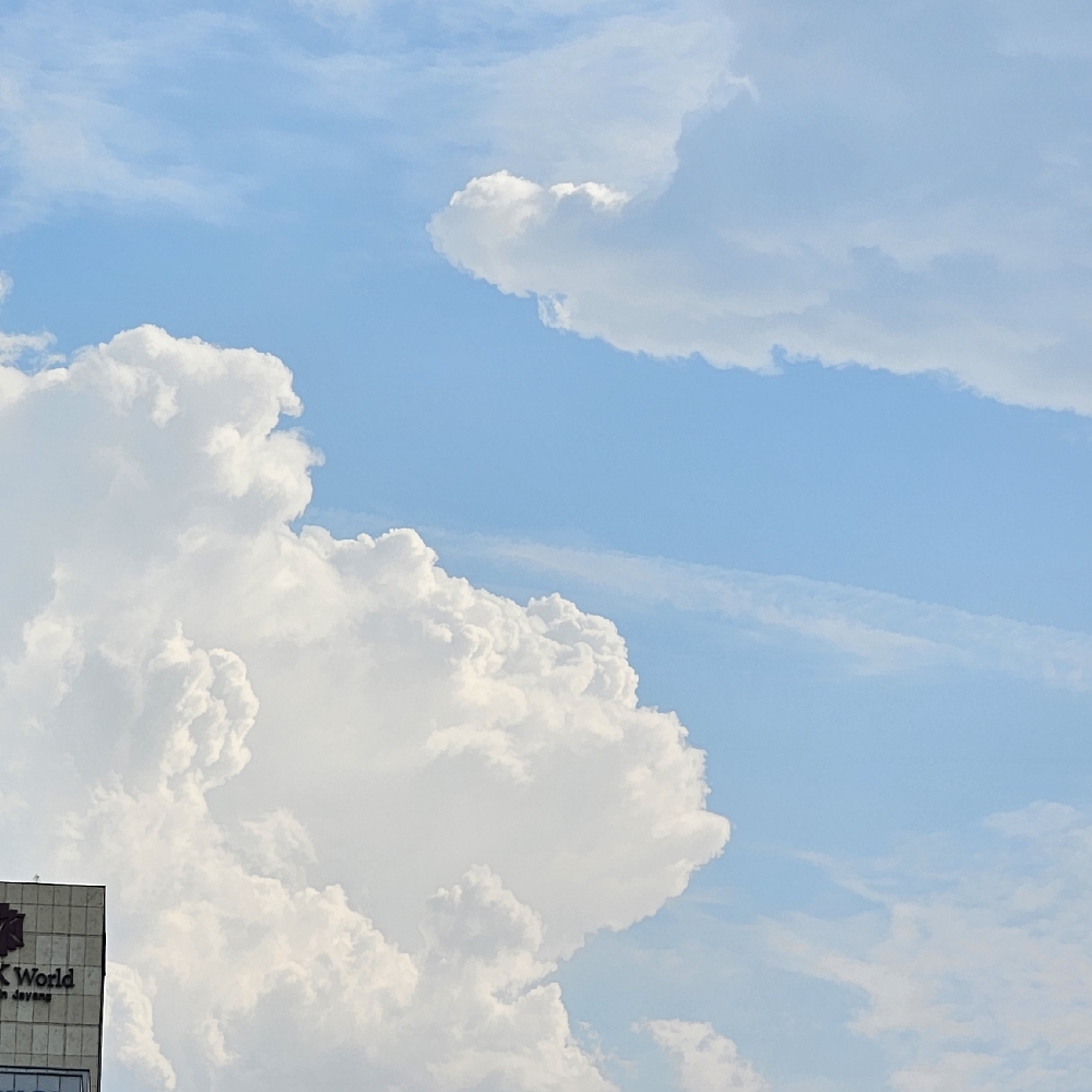관심 유저 프로필 이미지