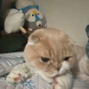 KREAM 프로필 이미지