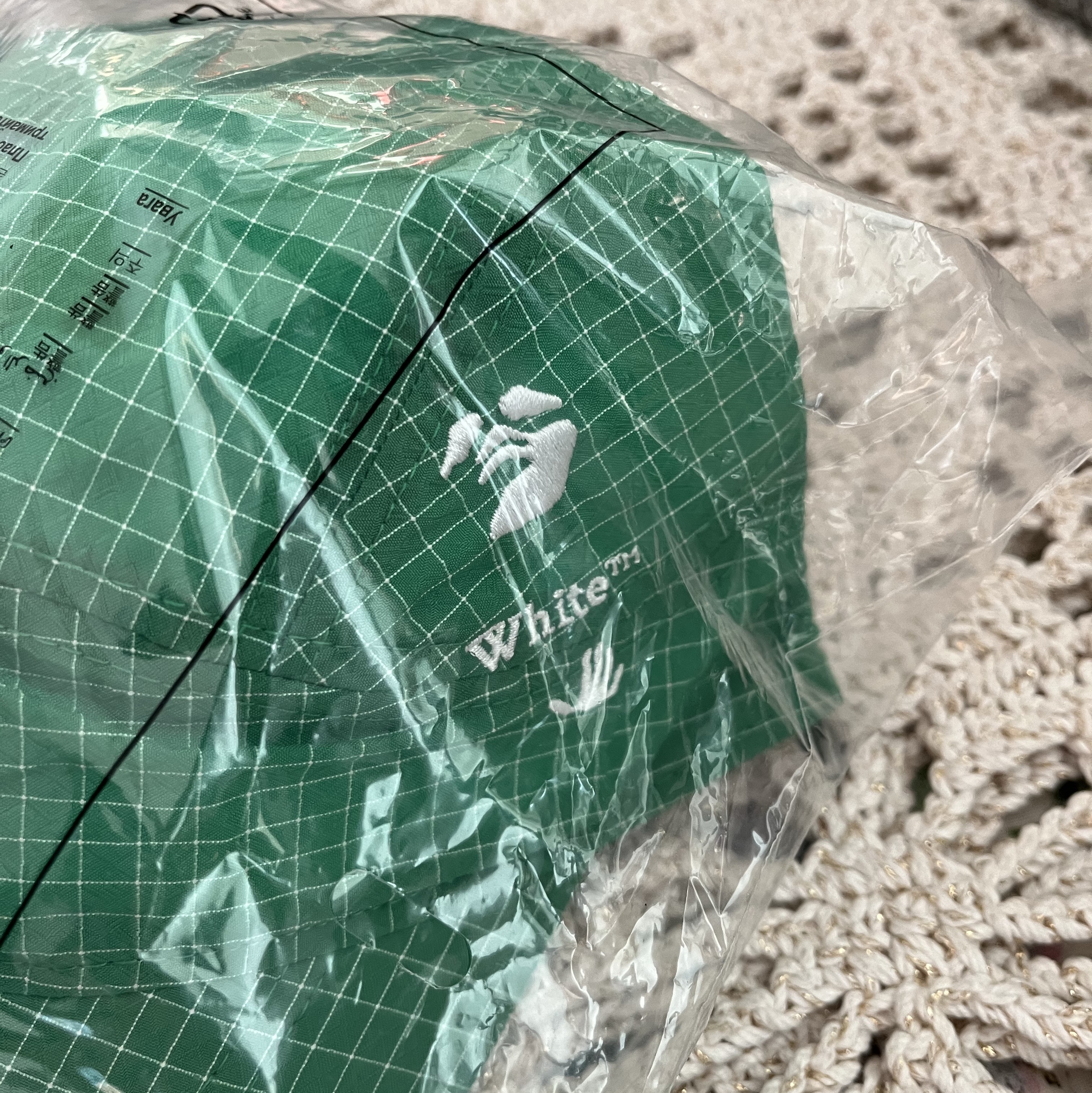 Nike x Off-White Fly Cap Kelly Green 착용 스타일 - 2