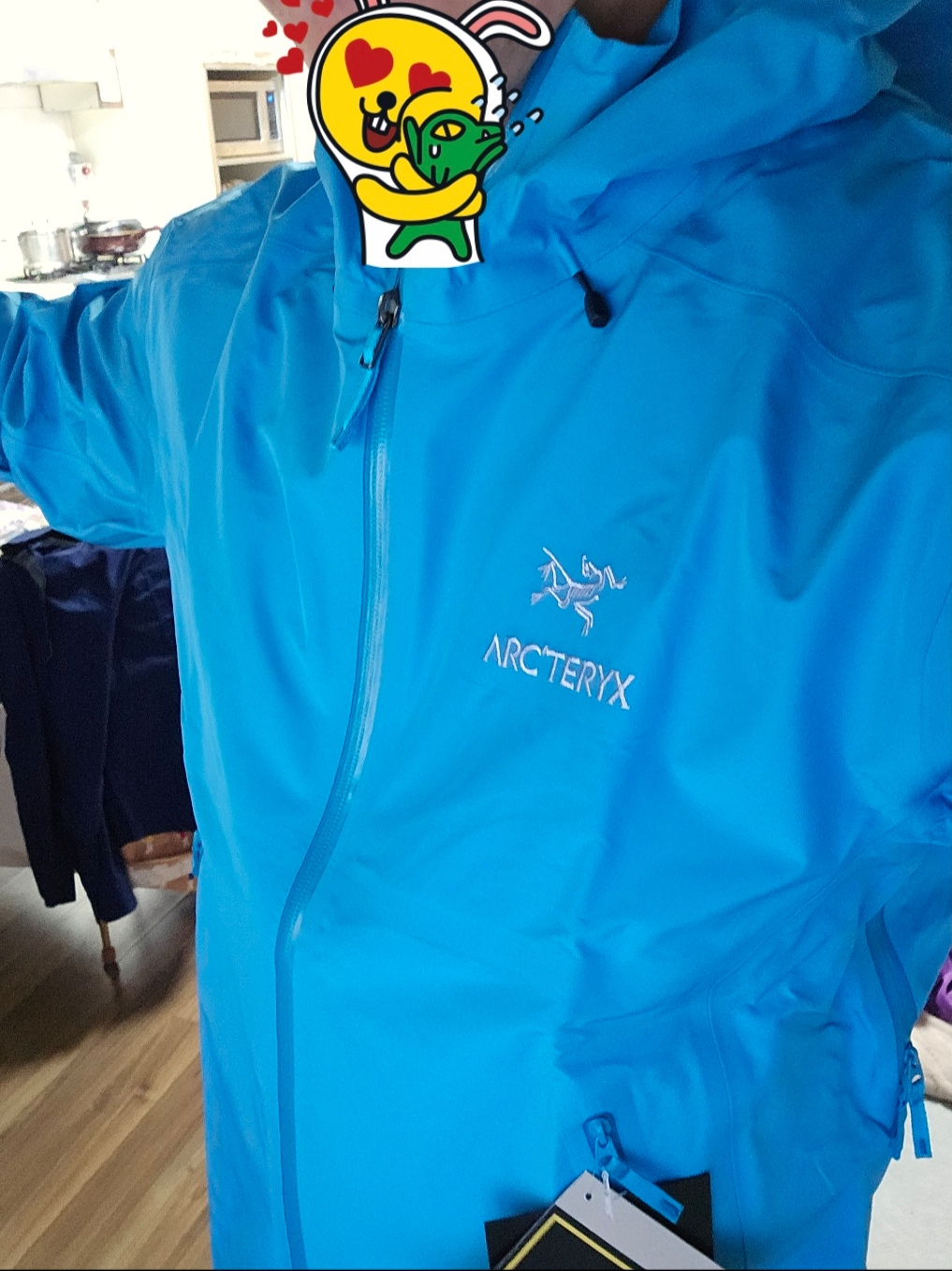Arc'teryx Beta LT Jacket Blue Tetra 착용 스타일