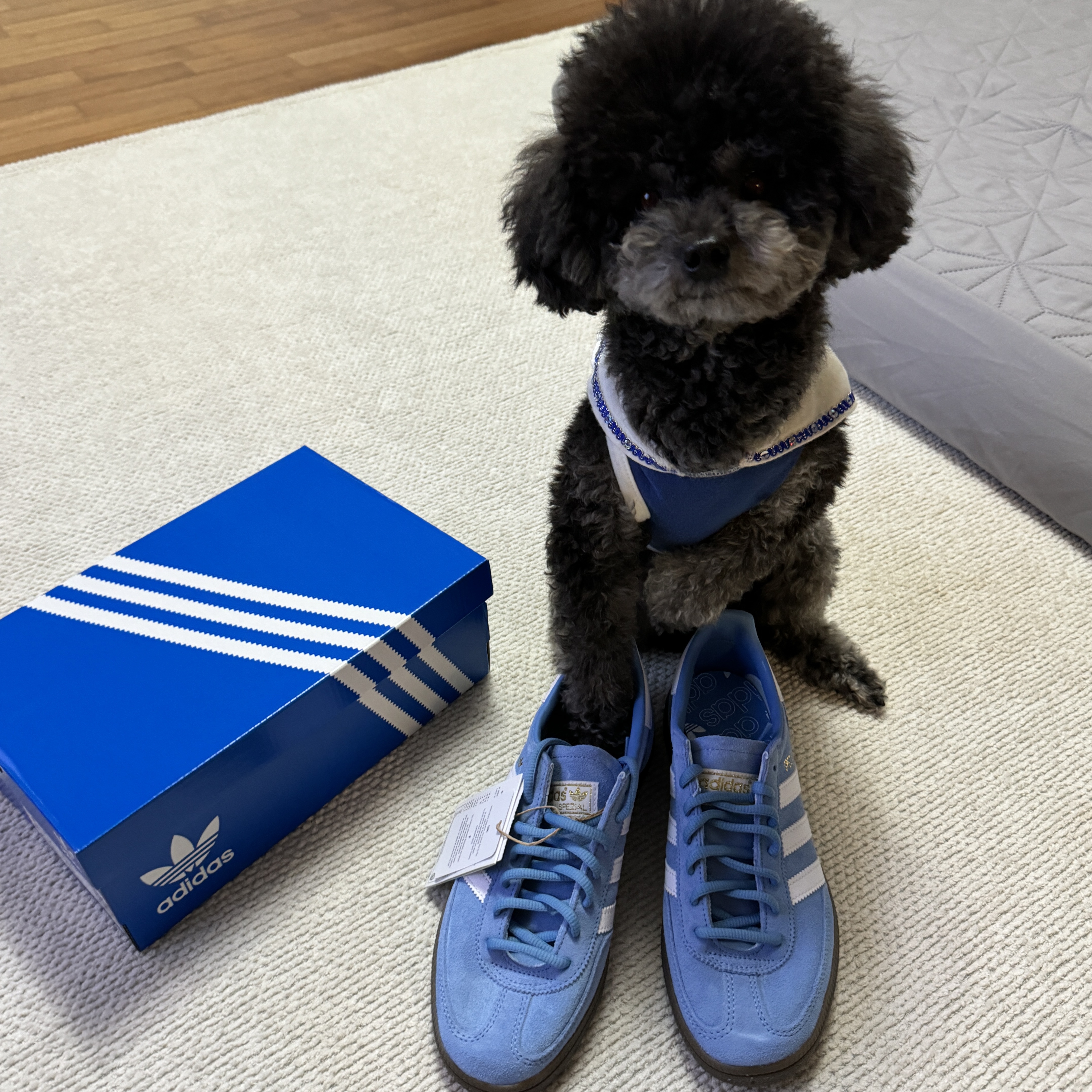Adidas Spezial Handball Light Blue 착용 스타일 - 1