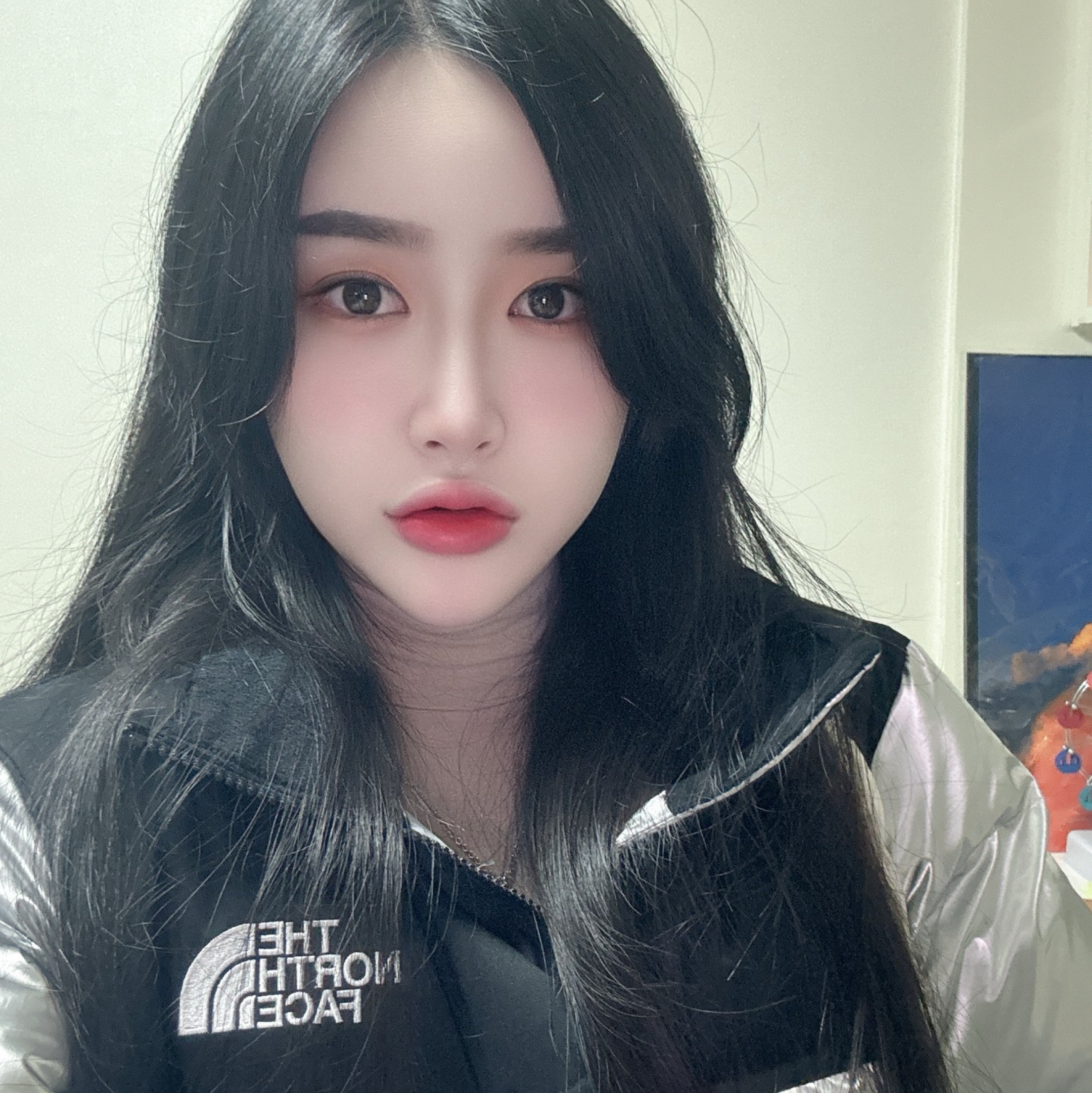 (W) The North Face White Label Novelty Nuptse Down Jacket SE Silver 착용 스타일
