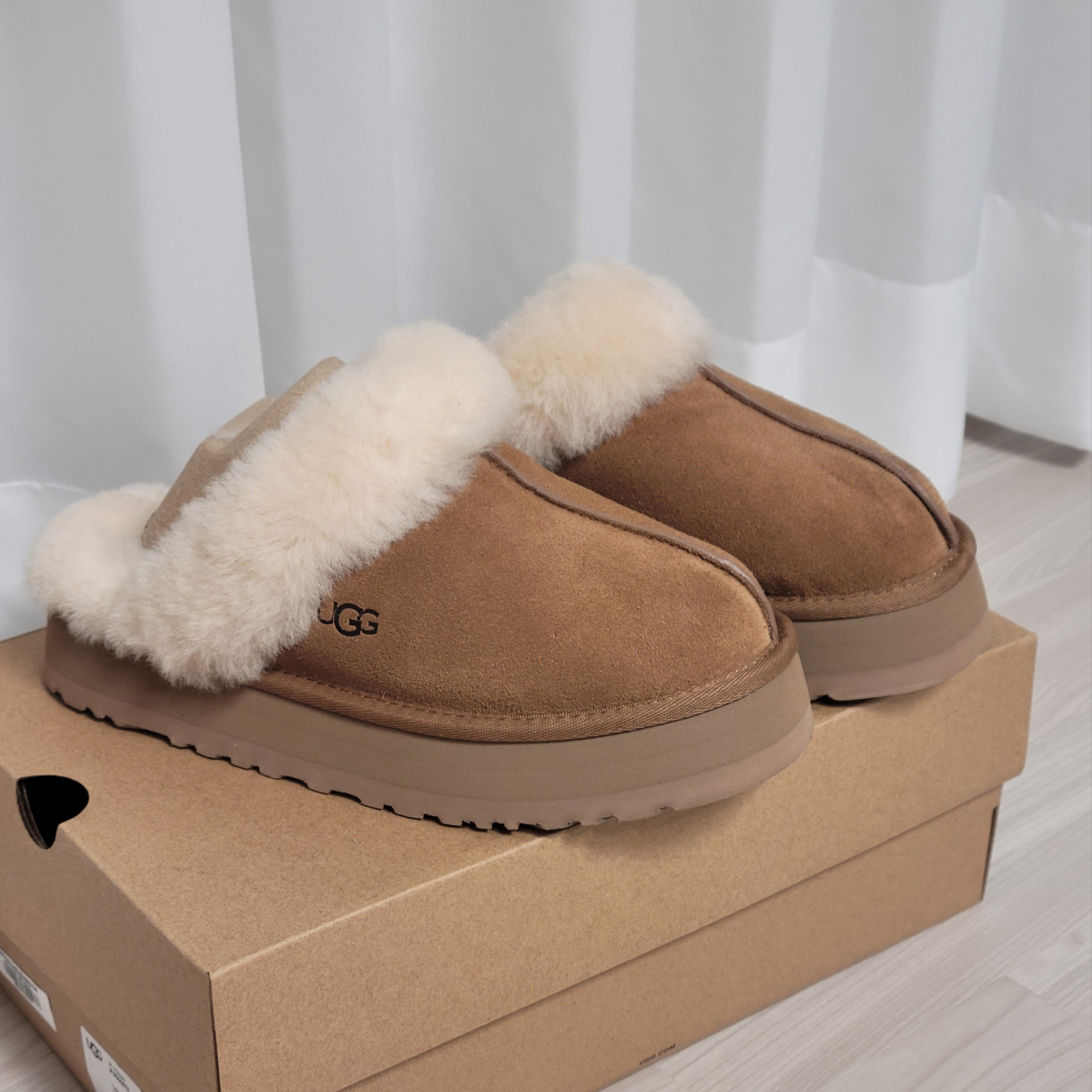 (W) UGG Disquette Slipper Chestnut 착용 스타일