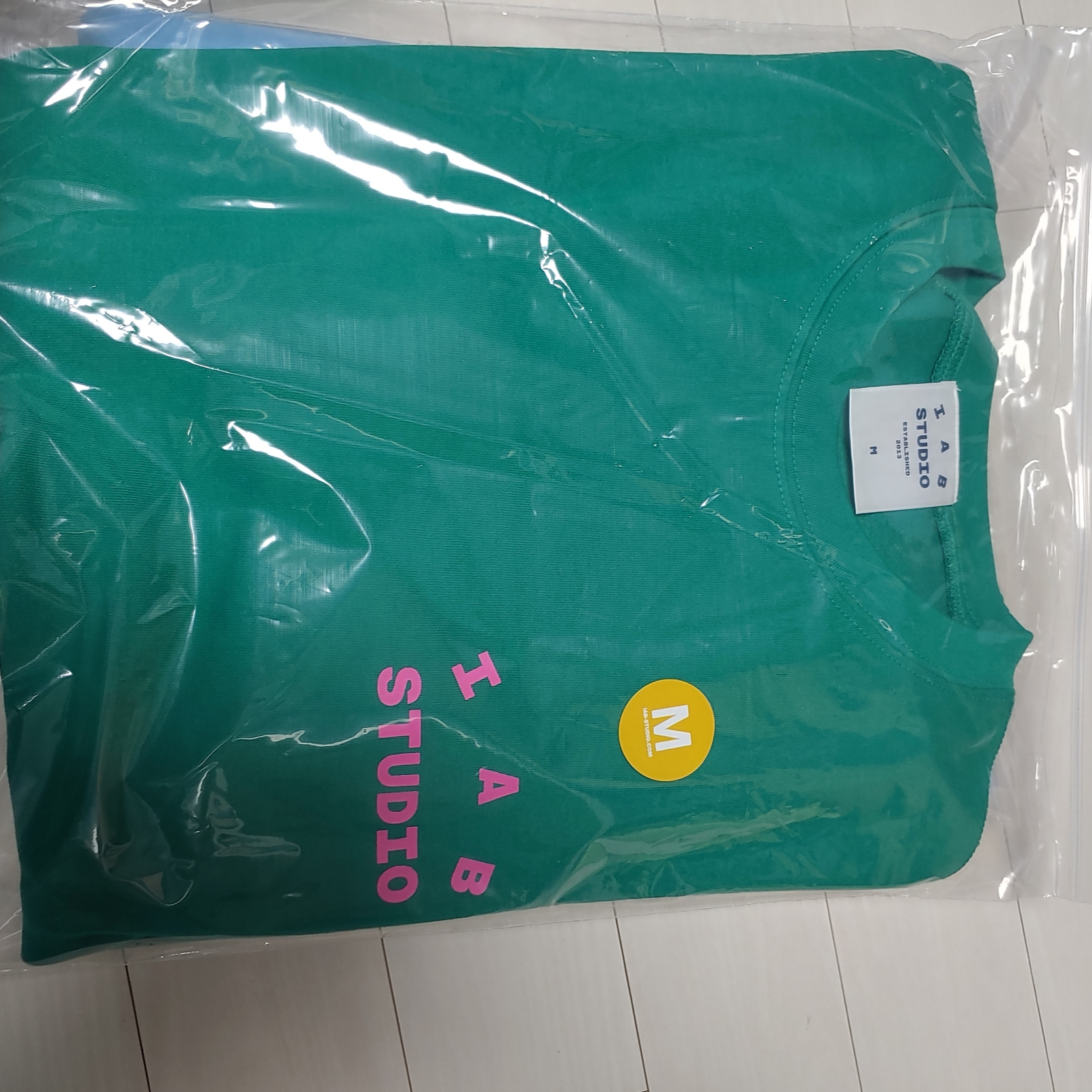 IAB Studio T-Shirt Green Pink 착용 스타일