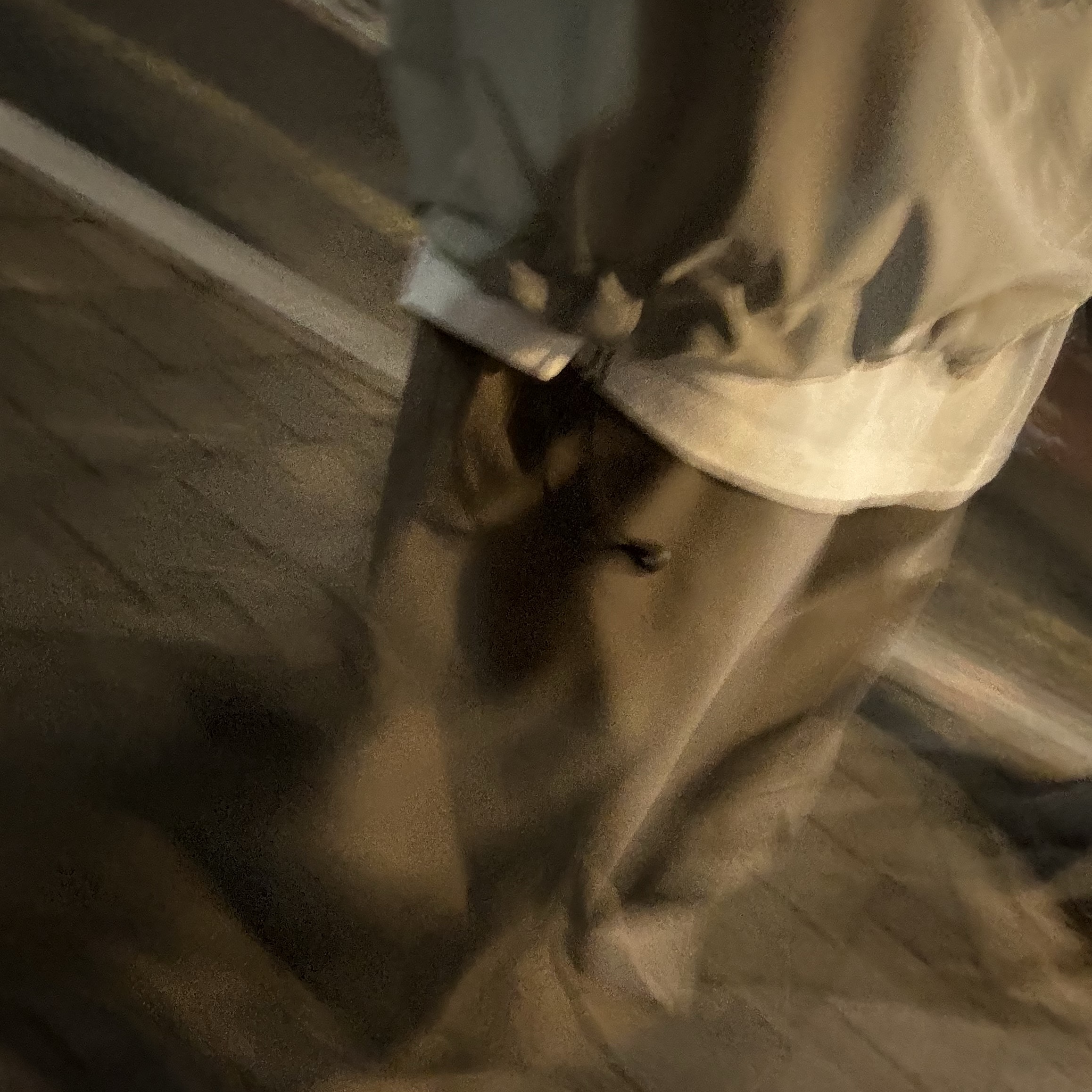 Sansan Gear Paneled Dart Pants Ash Brown - 23FW, Sansan Gear Windblock Jacket Grey - 23SS 착용 스타일