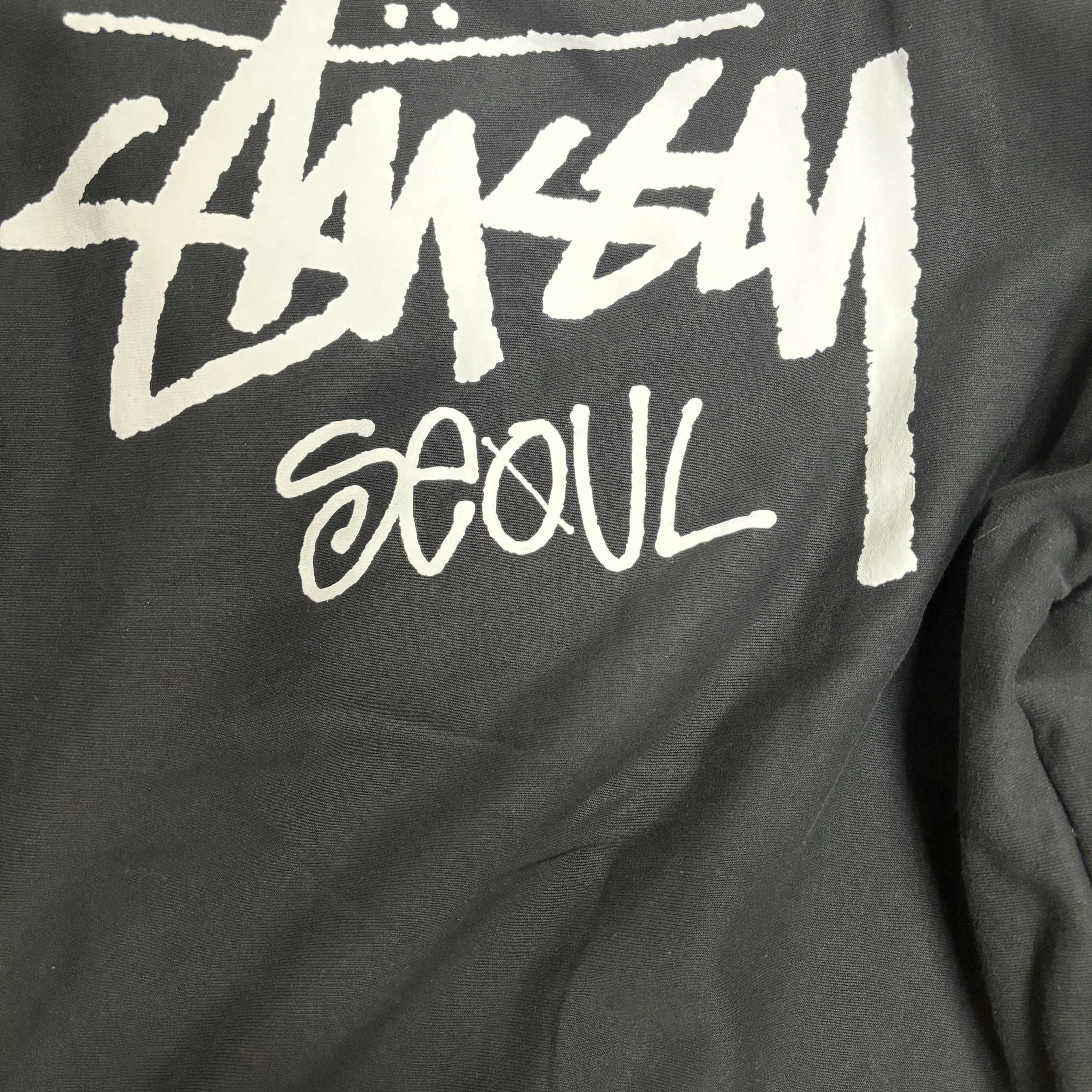 Stussy Stock Seoul Zip Hood Black 2023 착용 스타일 - 1