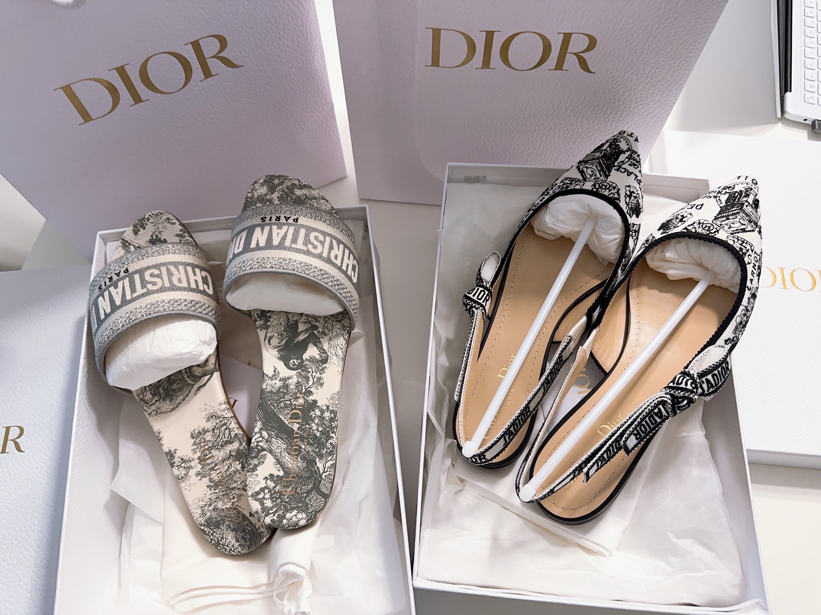 (W) Dior Toile de Jouy Embroidered Cotton Dway Mule Grey, (W) Dior J'adior Slingback Ballerina Flat Cotton Embroidered with Plan de Paris Motif White Black 착용 스타일