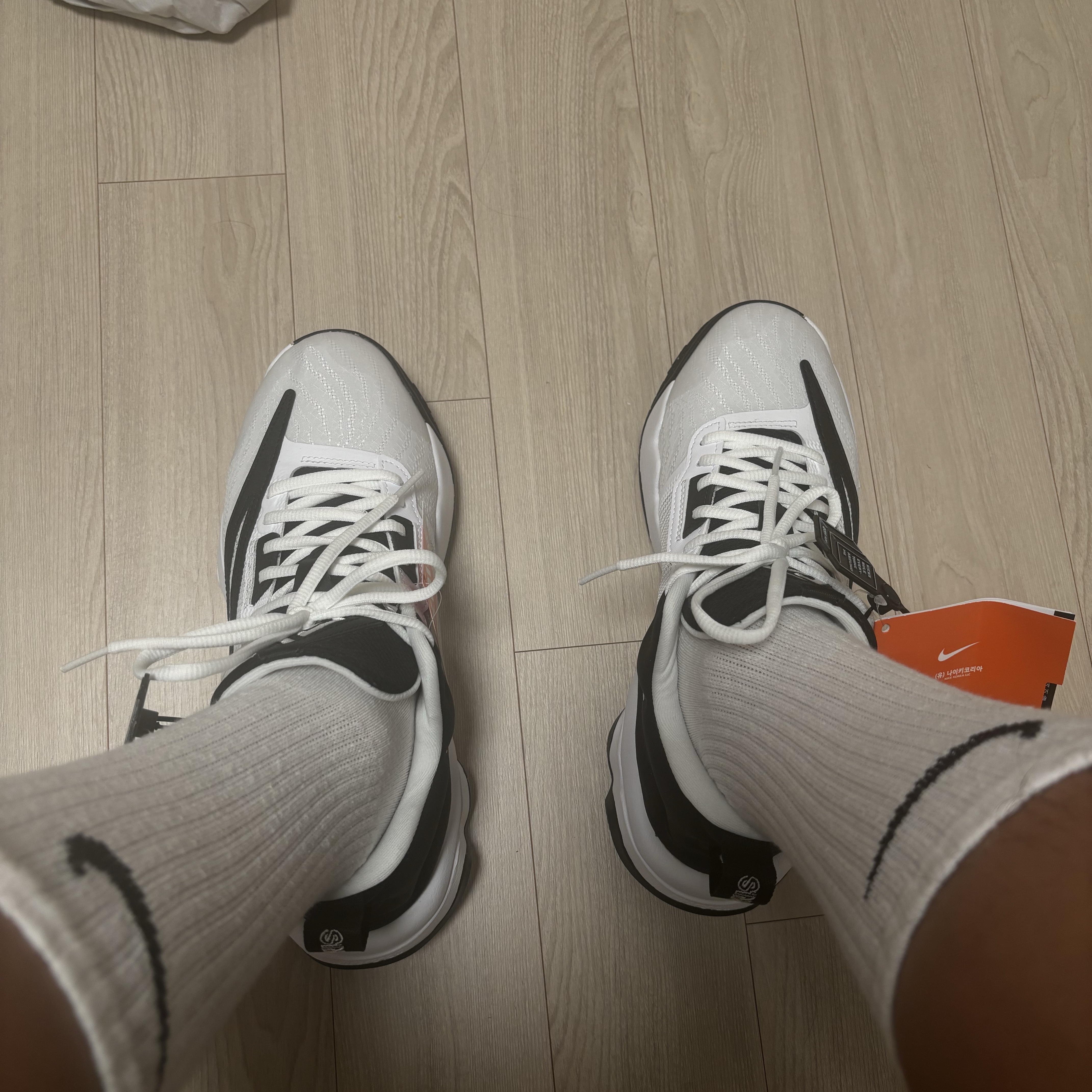Nike Giannis Immortality 3 EP White Black 착용 스타일