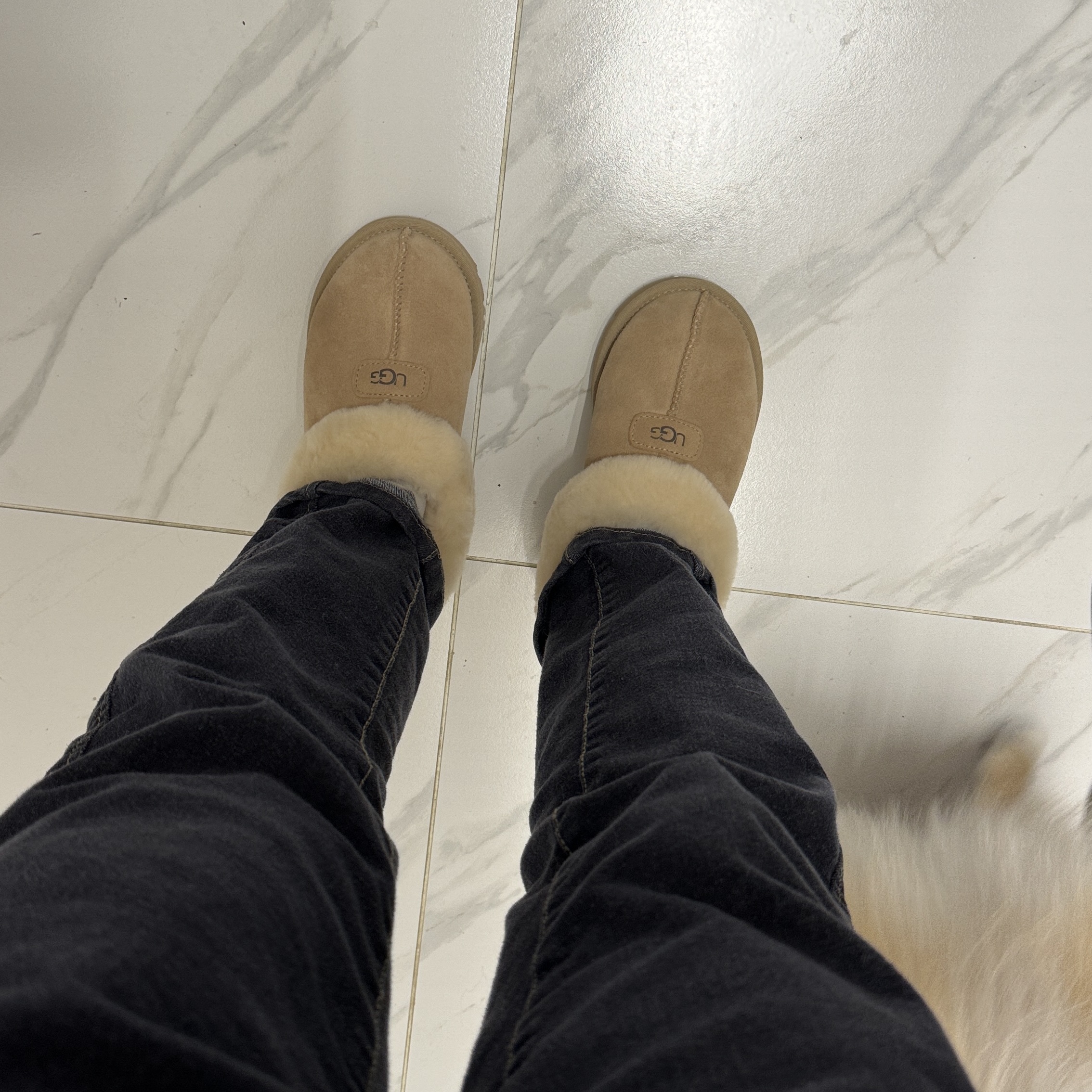 (W) UGG Tazzette Slipper Sand 착용 스타일