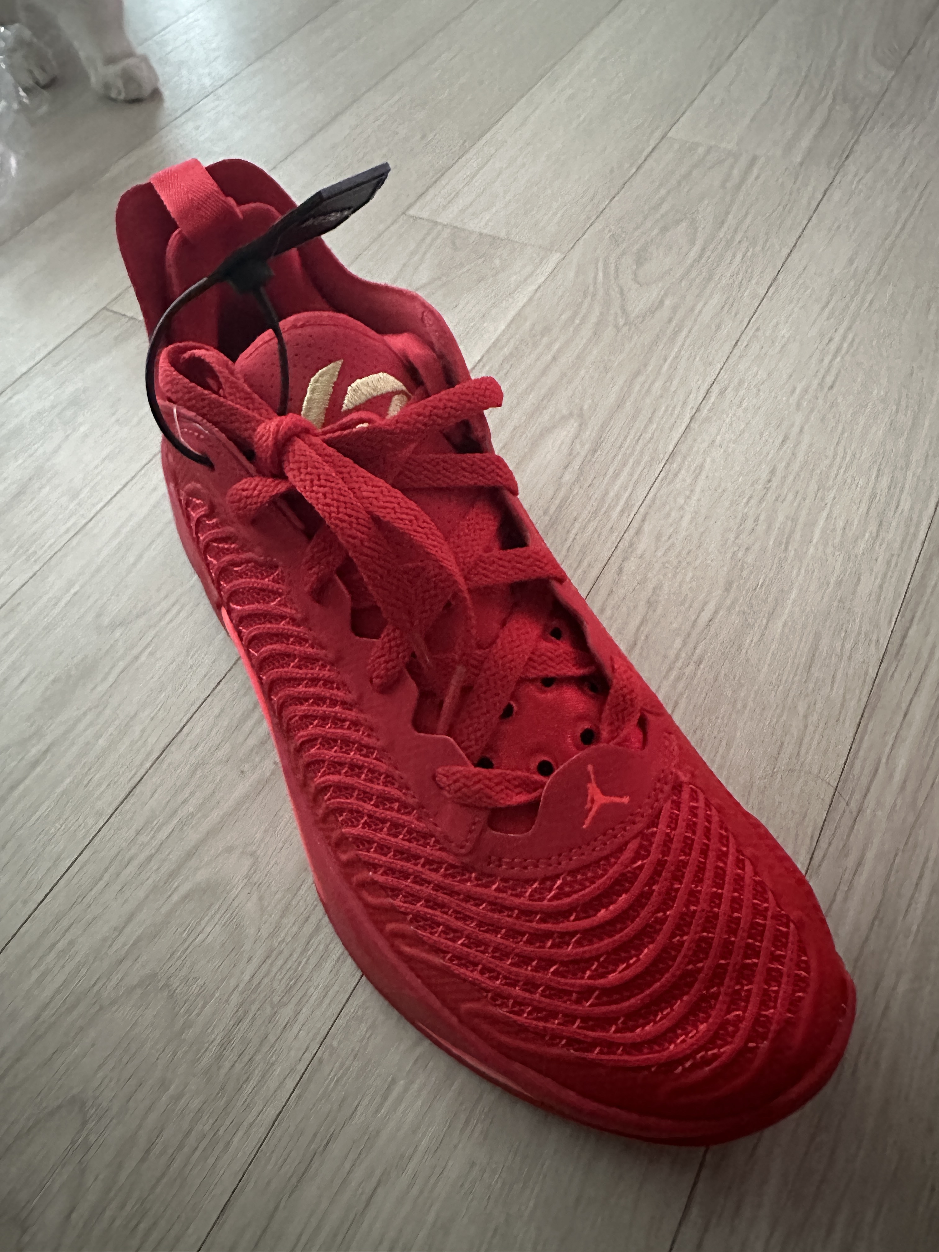 Jordan Luka 1 PF Bright Crimson 착용 스타일