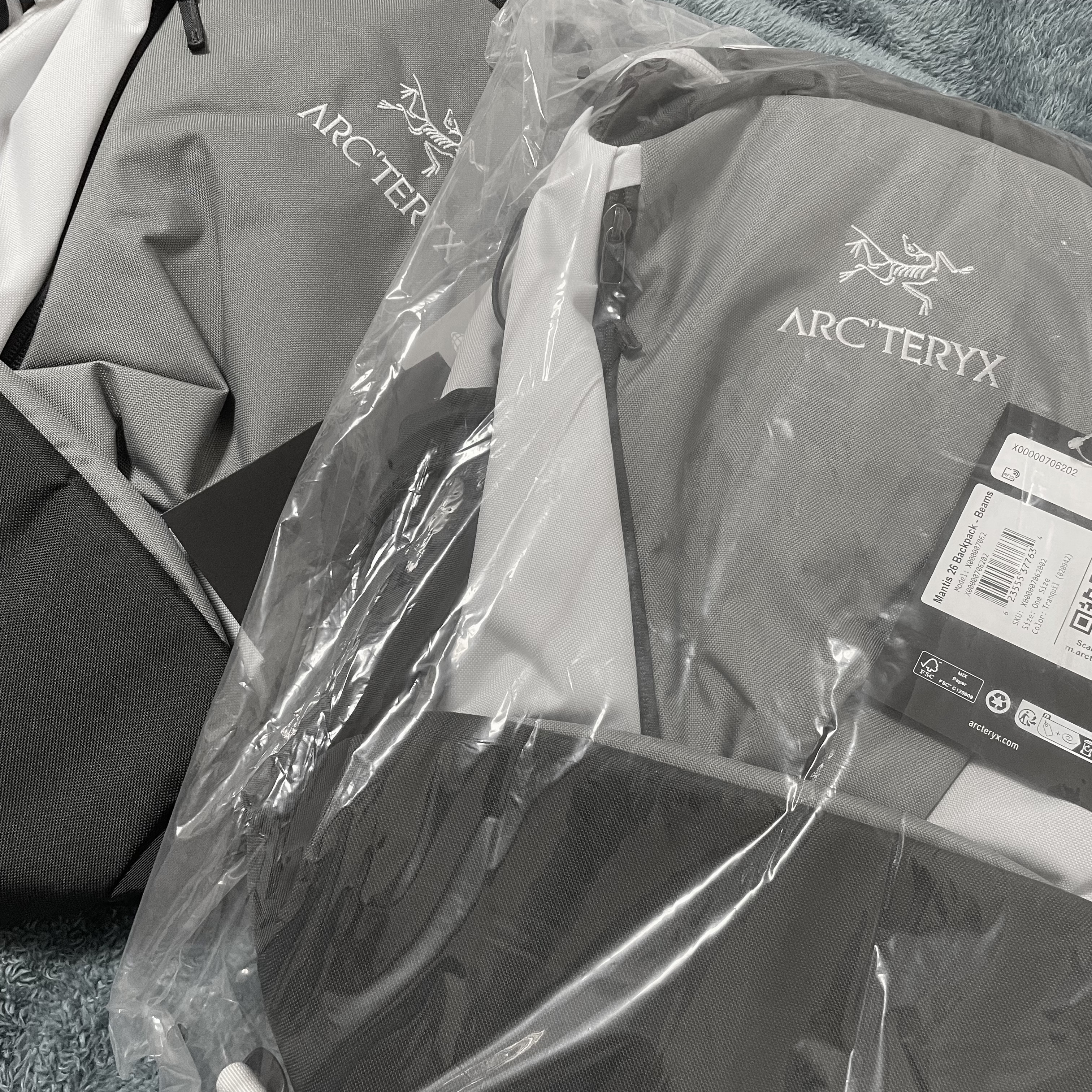 Arc'teryx x Beams Mantis 26 Backpack Tranquil 착용 스타일