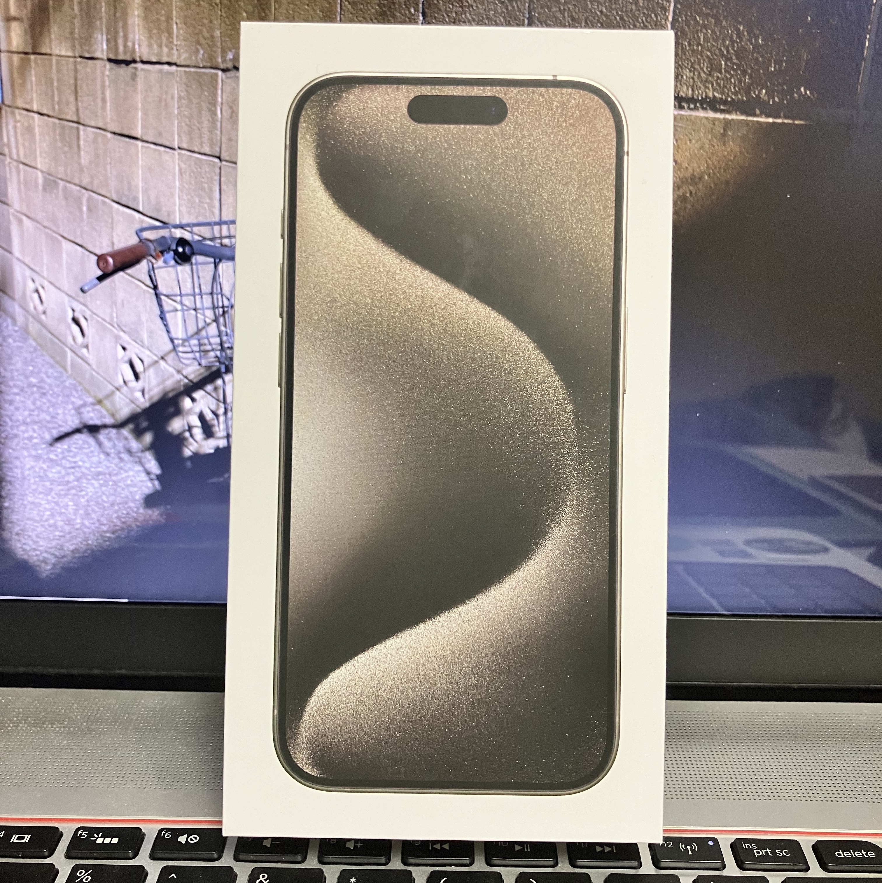 Apple iPhone 15 Pro 256GB Natural Titanium (Korean Ver.) 착용 스타일