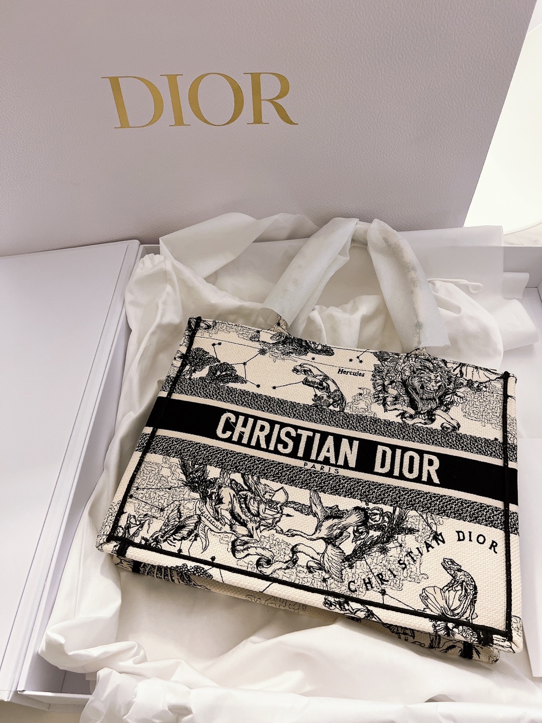 Dior Medium Dior Book Tote Latte Black Dior Zodiac Embroidery 착용 스타일