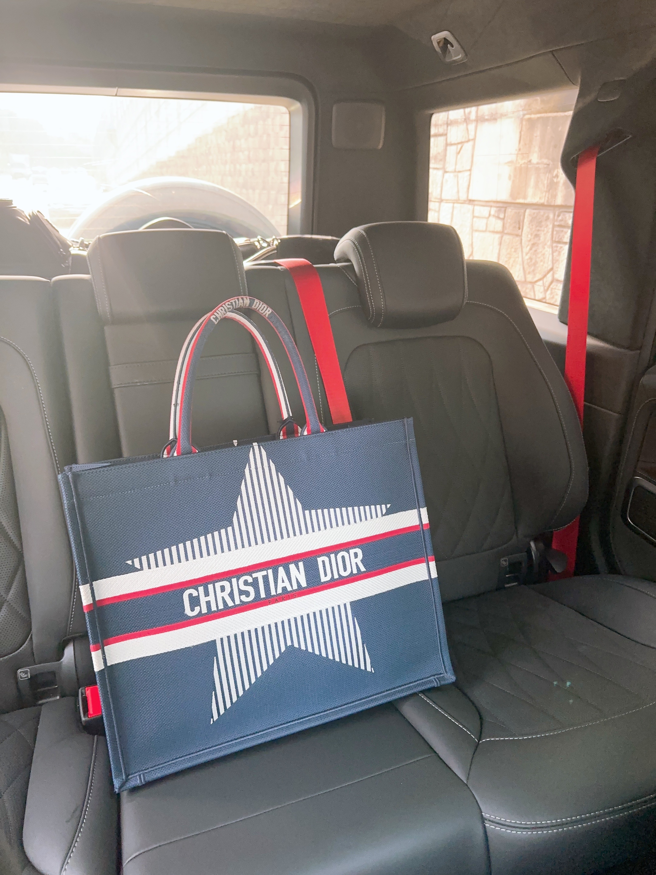 Dior Large Book Tote Dioralps White Three-Tone Embroidery 착용 스타일