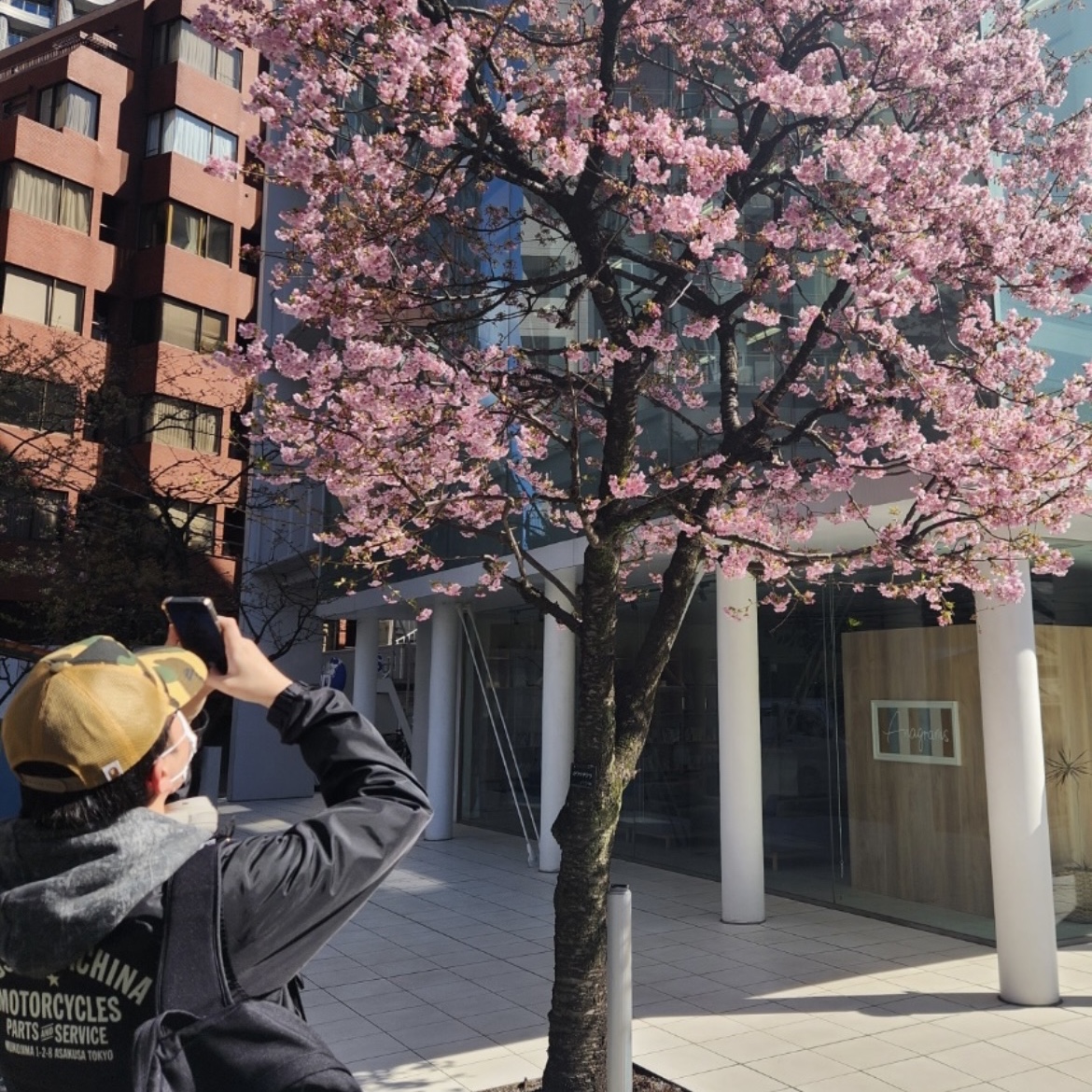 Stussy x BAPE Trucker Cap Yellow, Sony WH-1000XM4 Platinum Silver (Korean Ver.) 착용 스타일 - 2
