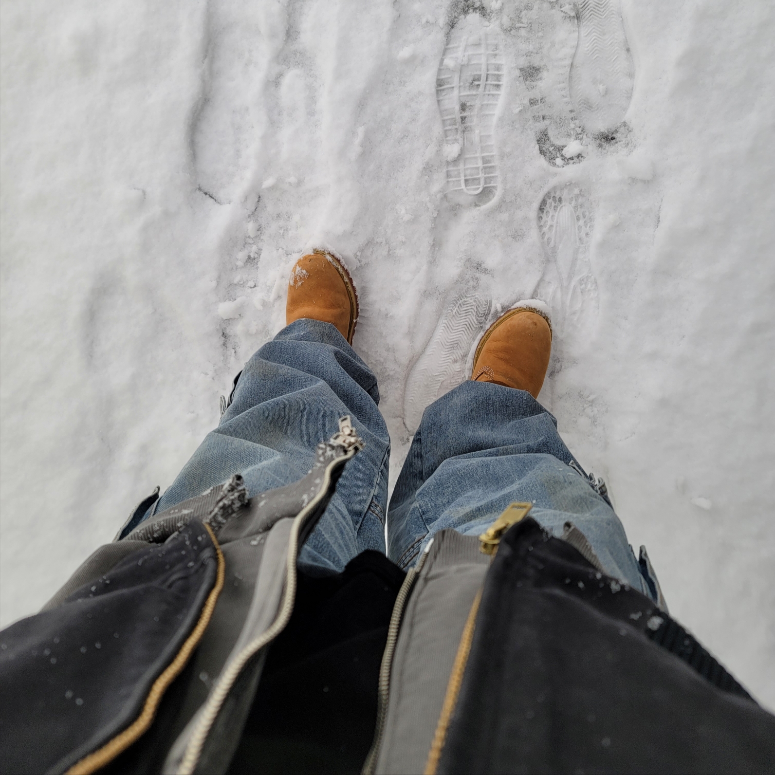 Timberland Premium 6 inch Waterproof Boot Wheat Nubuck - Wide 착용 스타일 - 1