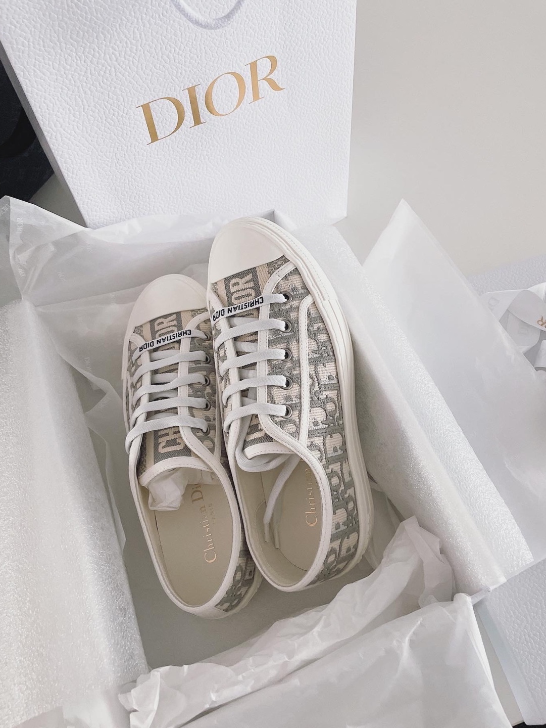 (W) Dior Walk'N'Dior Sneakers Oblique Gray 착용 스타일
