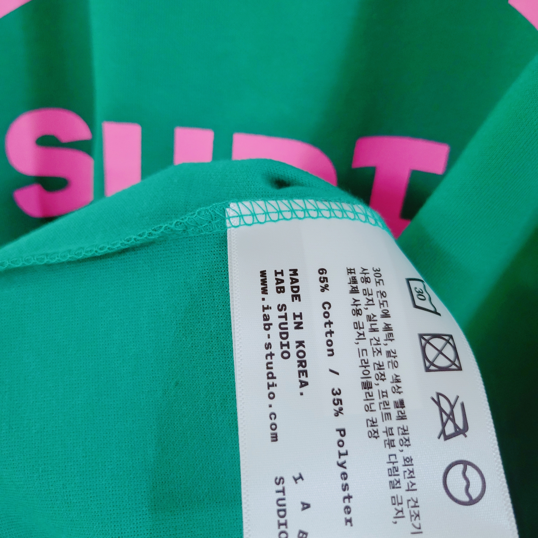 IAB Studio T-Shirt Green Pink 착용 스타일 - 3