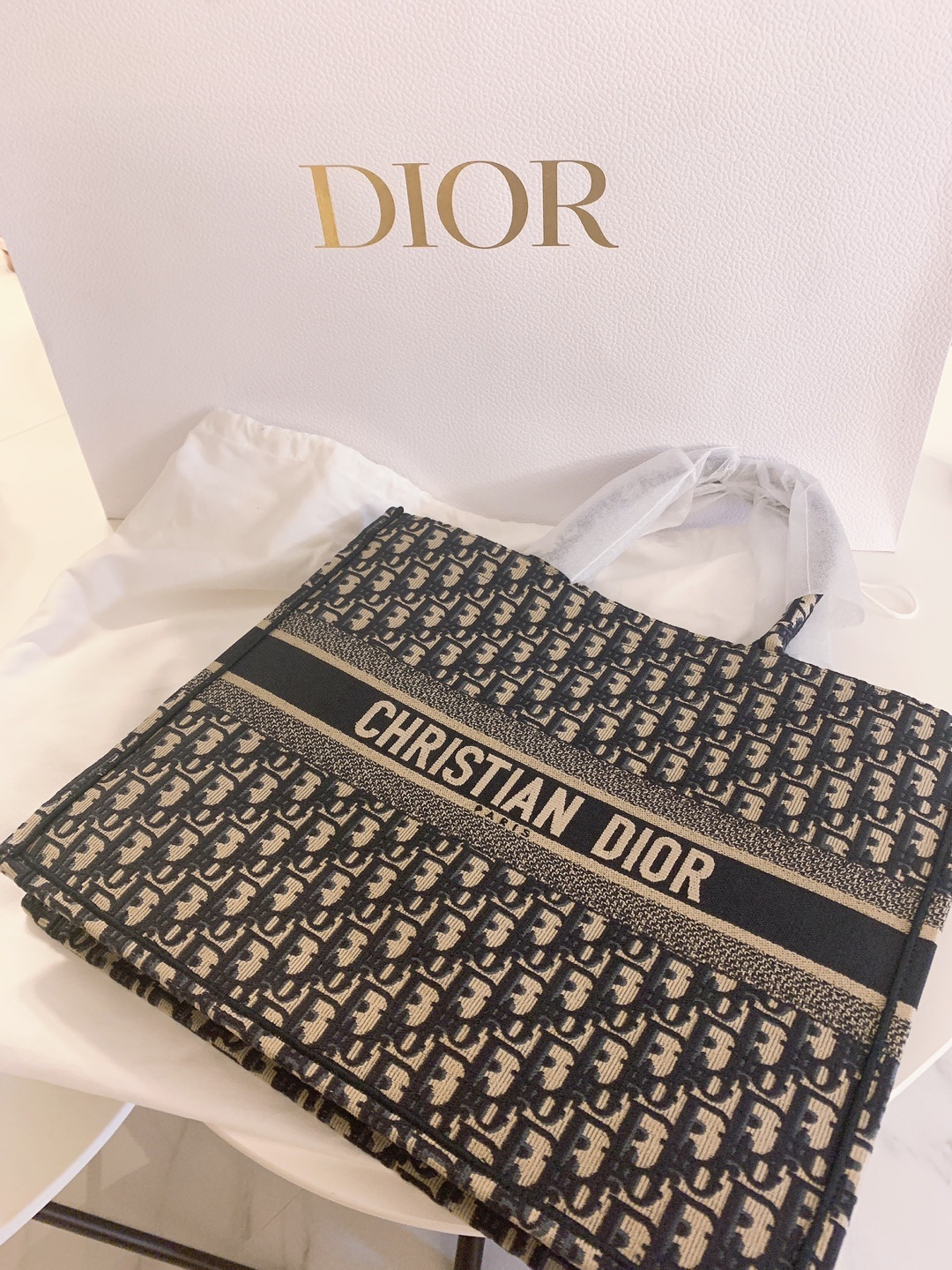 Dior Large Book Tote Blue Dior Oblique Embroidery 착용 스타일