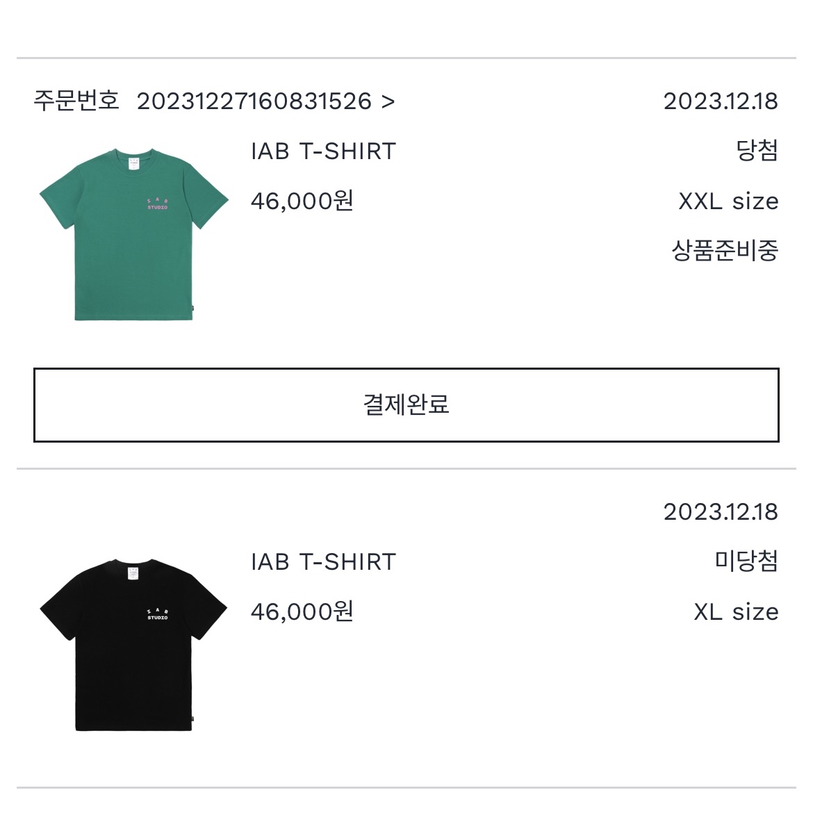 IAB Studio T-Shirt Green Pink 착용 스타일 - 2