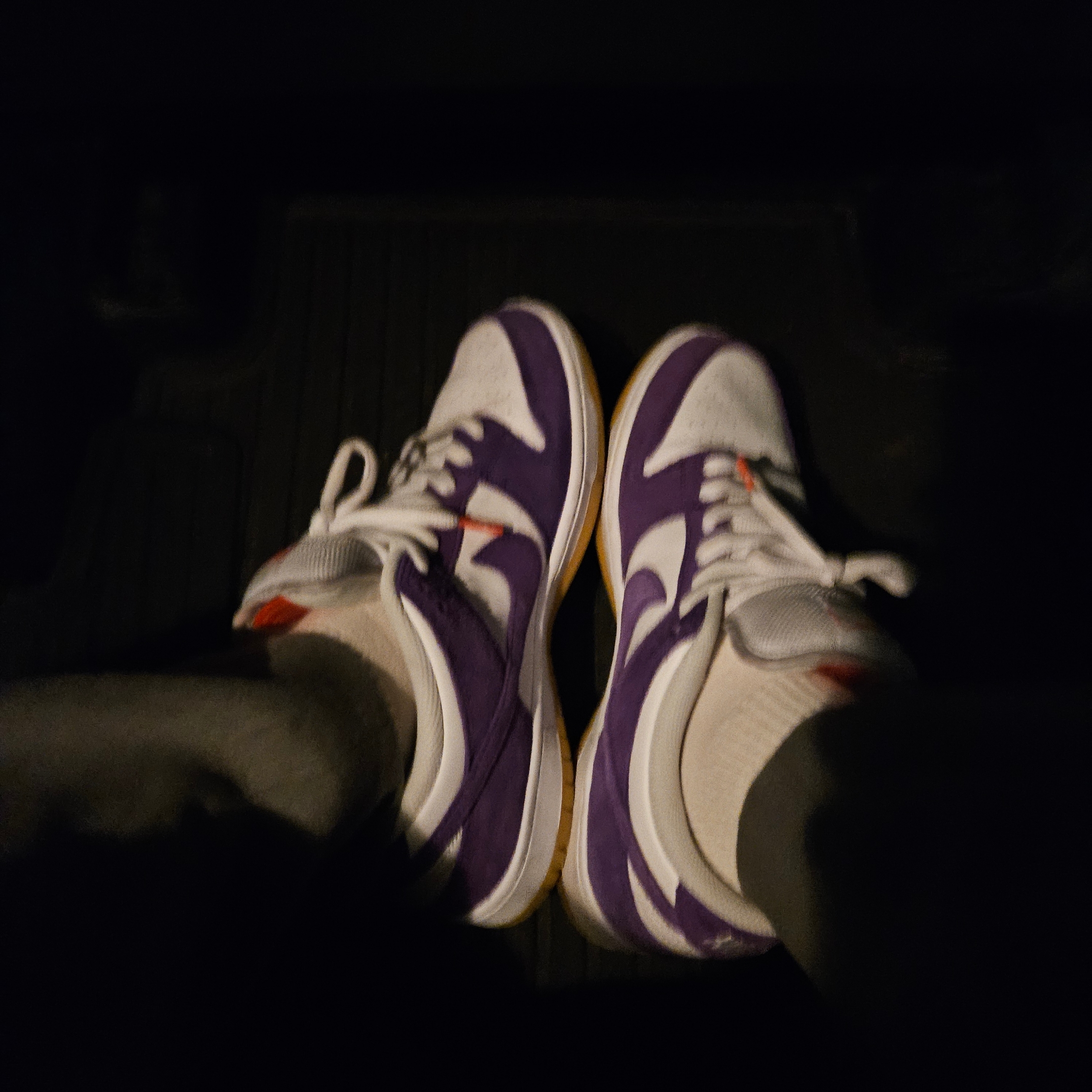 Nike Dunk Low Pro SB Court Purple 착용 스타일