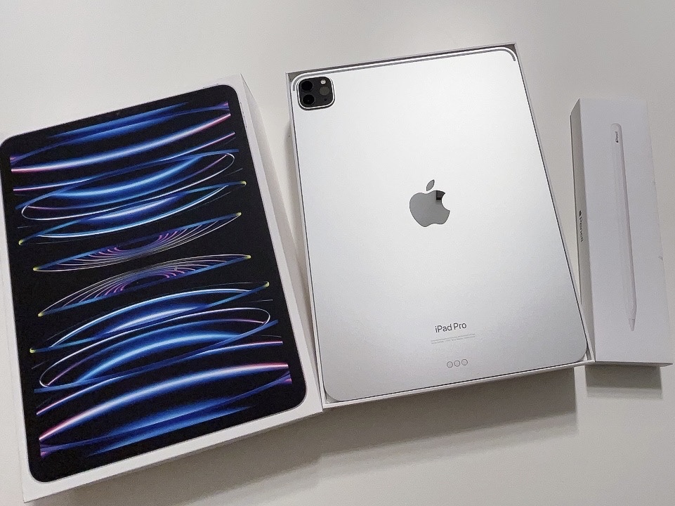 Apple iPad Pro 4th Gen 11-inch Wifi 128GB Silver (Korean Ver.) 착용 스타일